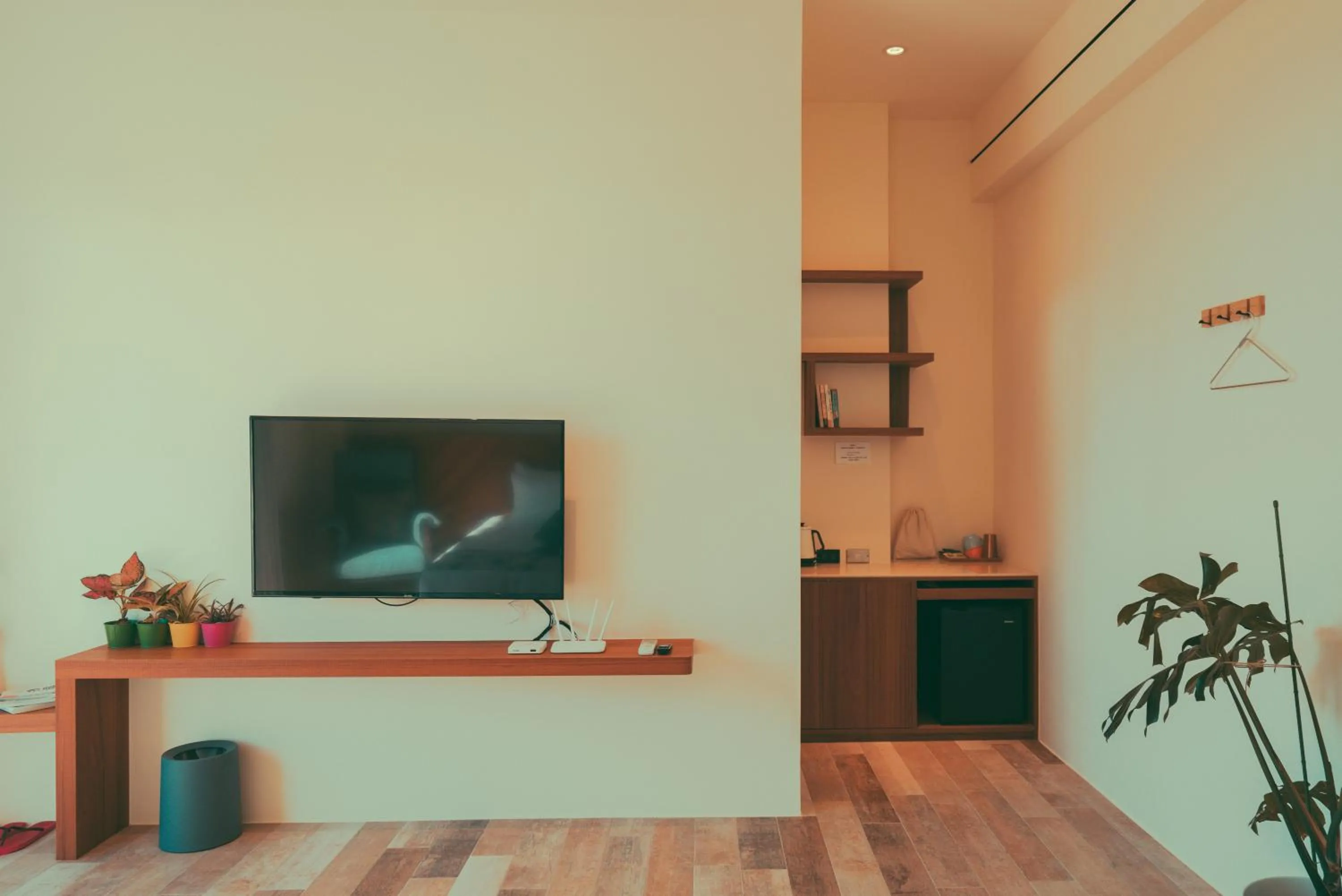 TV and multimedia in Shark B&B