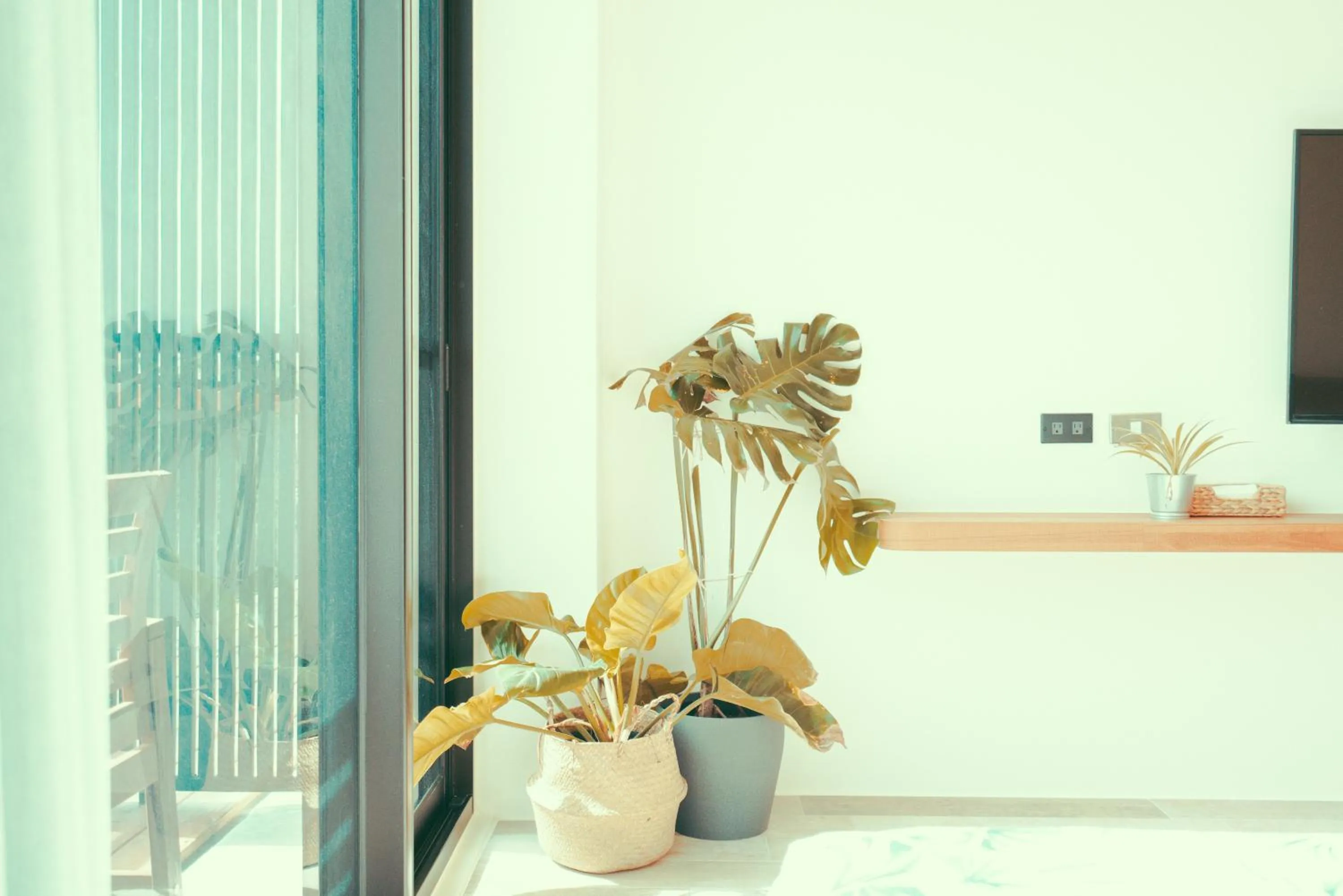 Decorative detail in Shark B&B