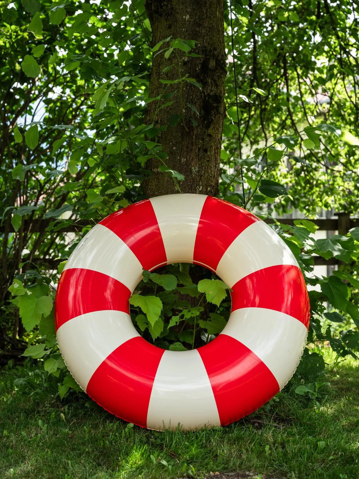 Swimming pool in Frida am Wald