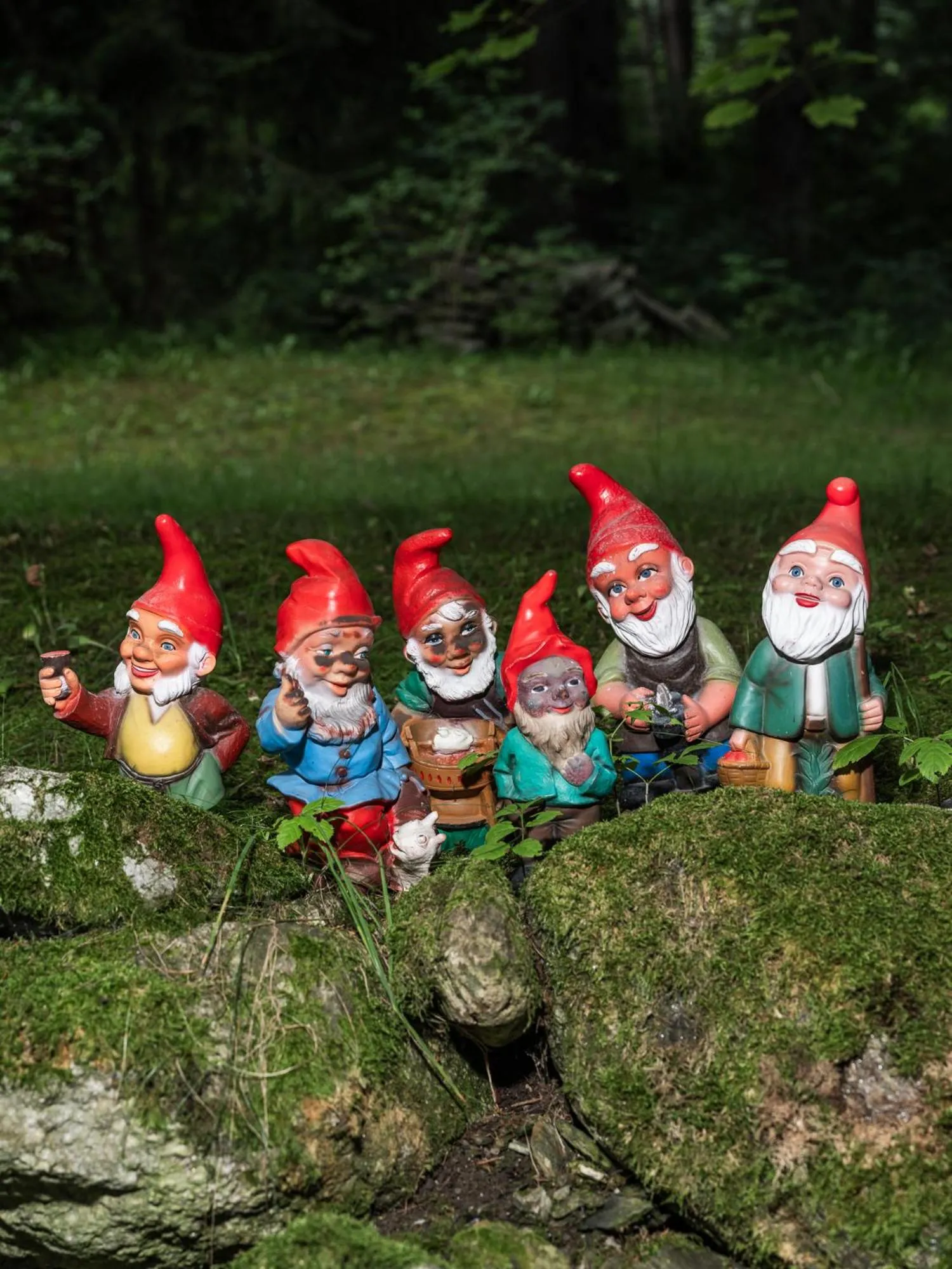 group of guests in Frida am Wald