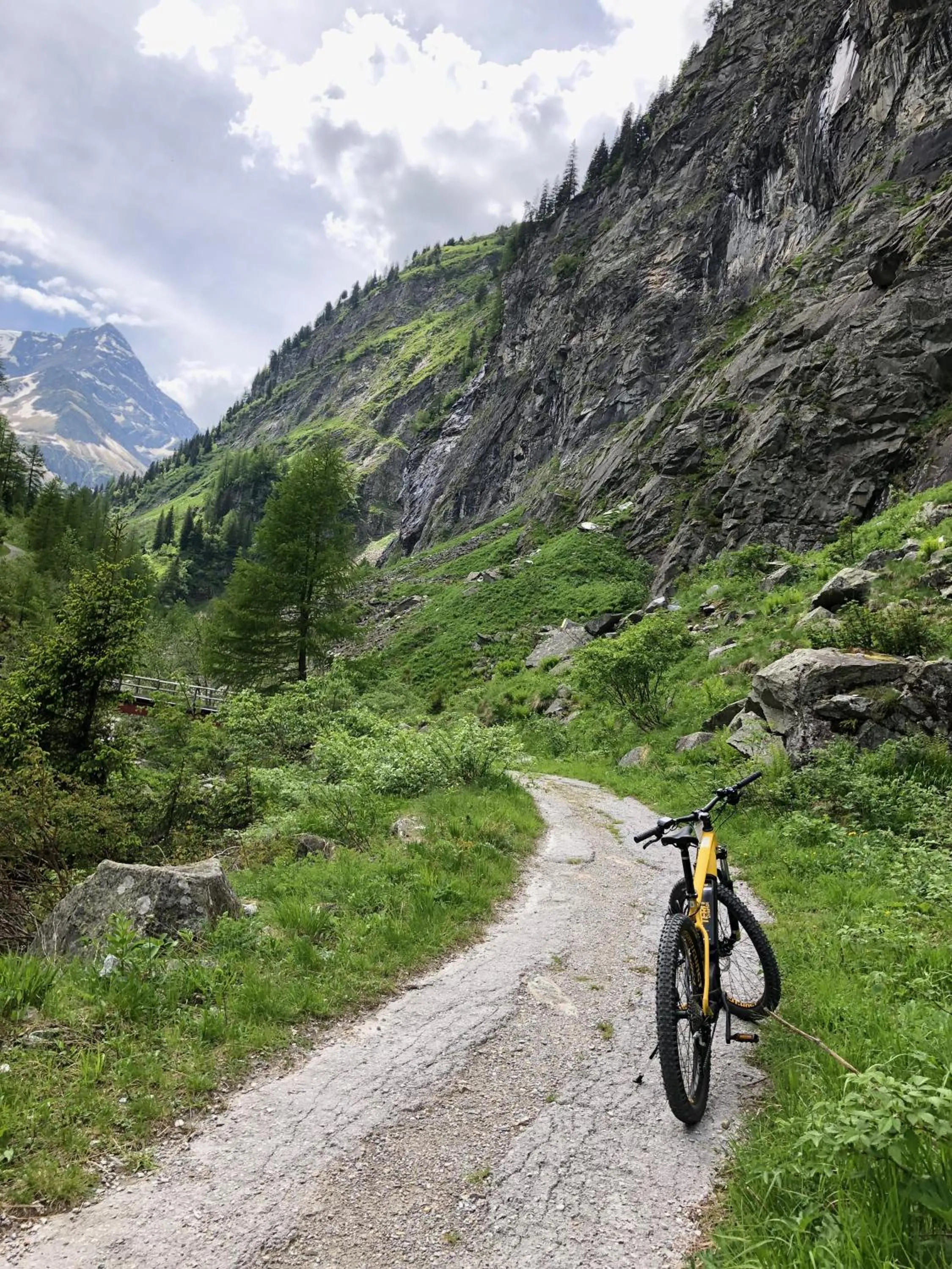 Cycling in Hotel Lindenhof