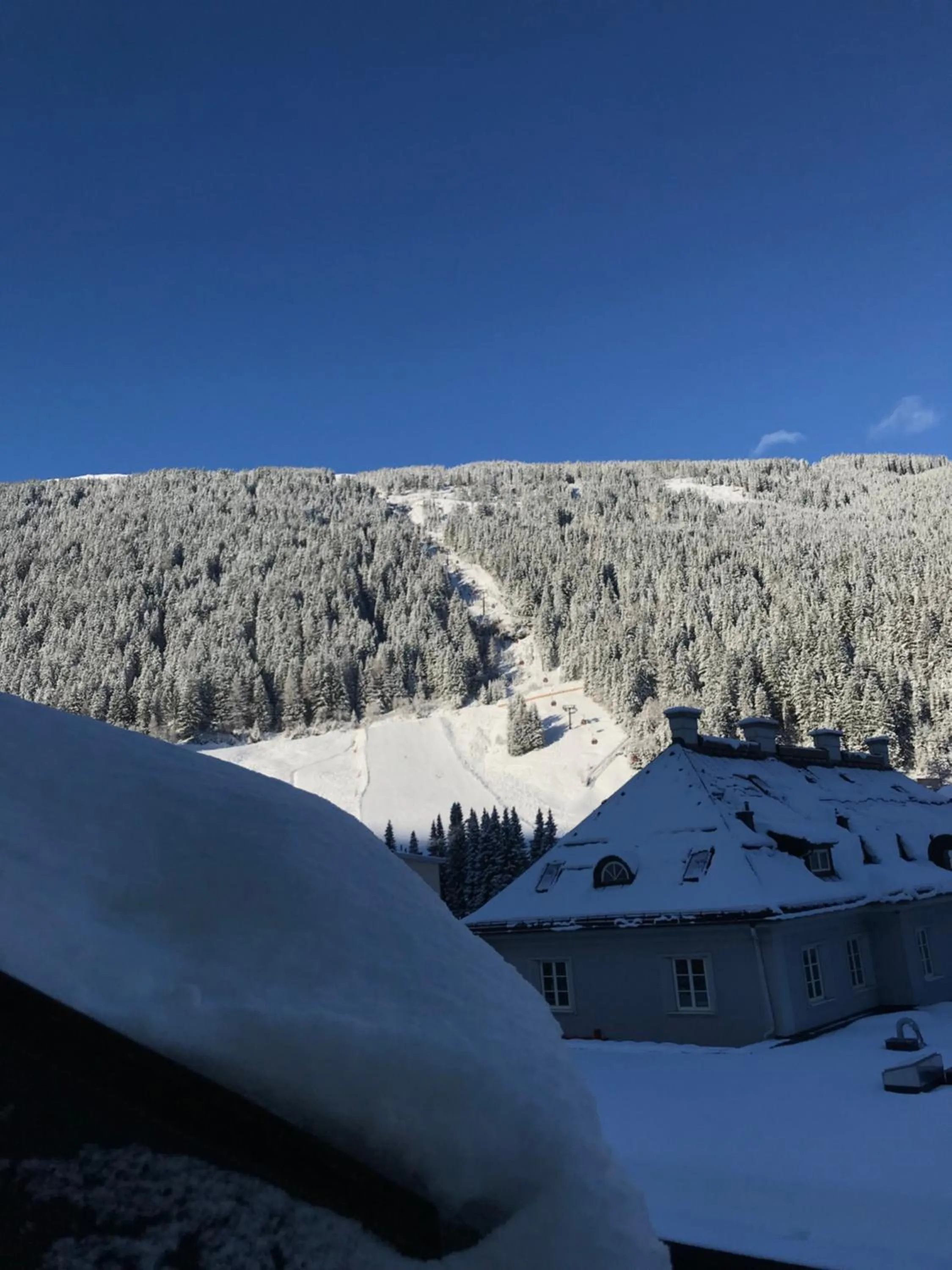 Natural landscape in Hotel Lindenhof