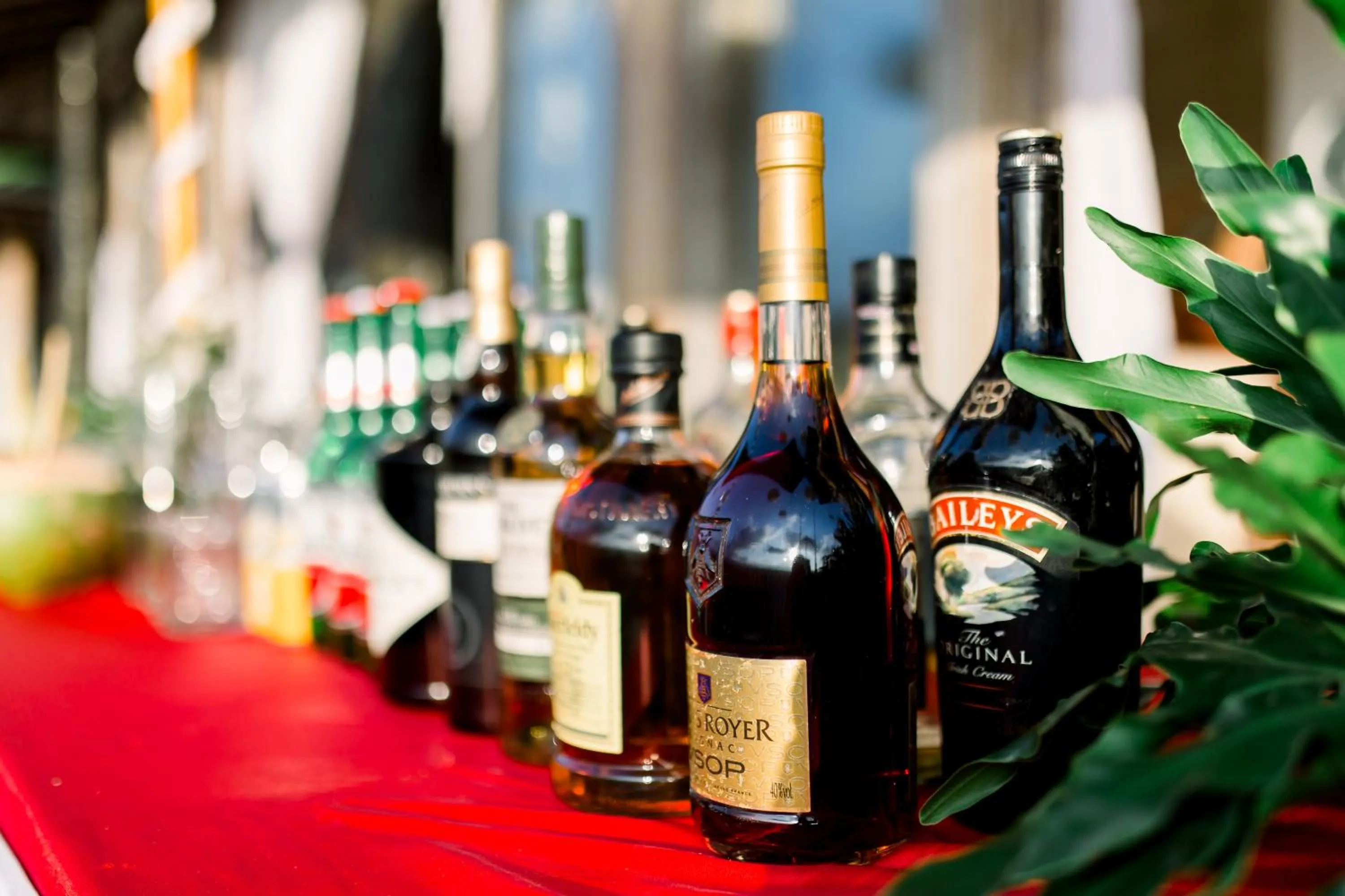 Meeting/conference room in The Bejalin Eco Retreat