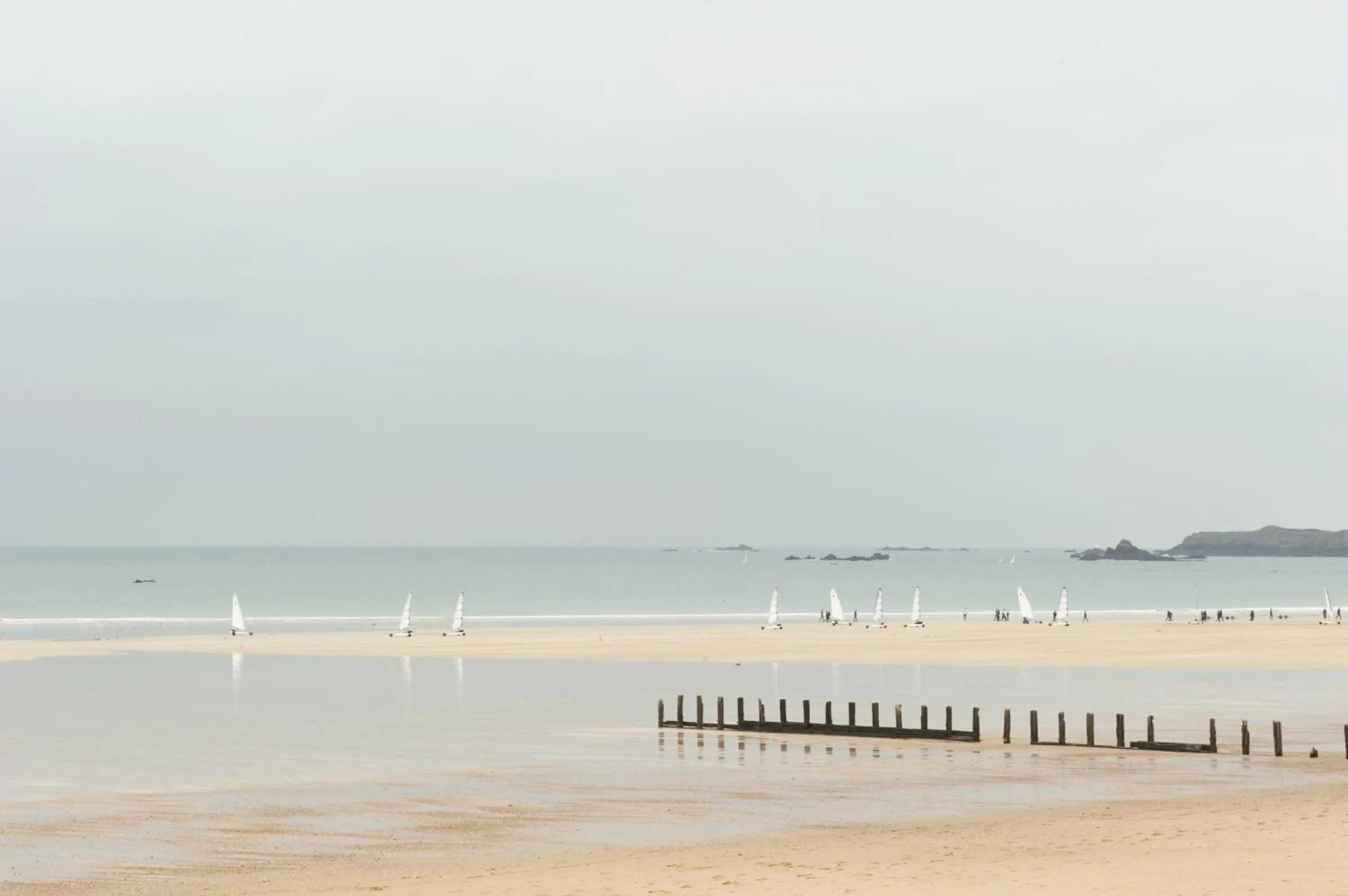 Area and facilities in Best Western Alexandra