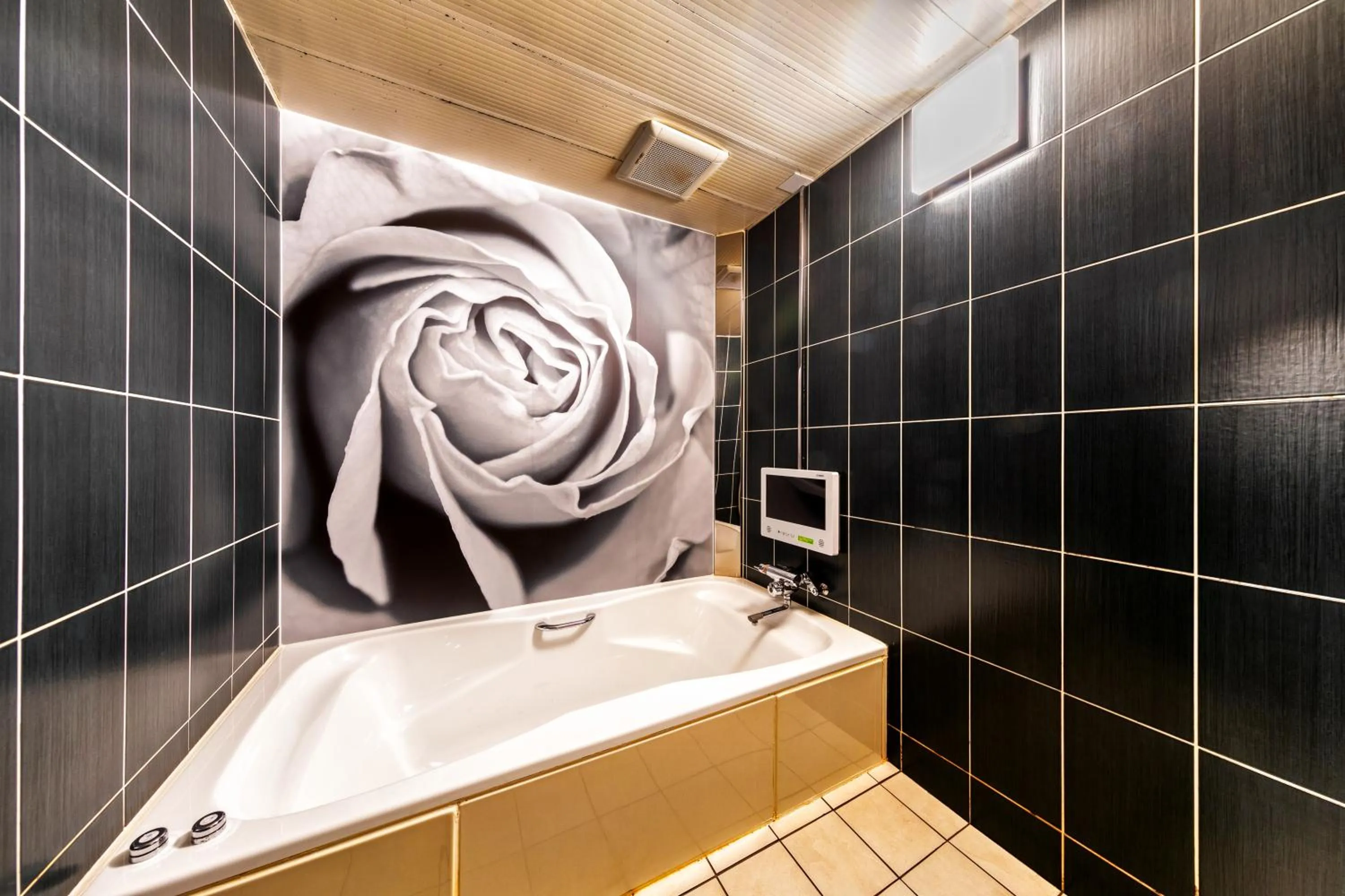 HOTEL LUNA MODERN Sakuranomiya (Adult Only)