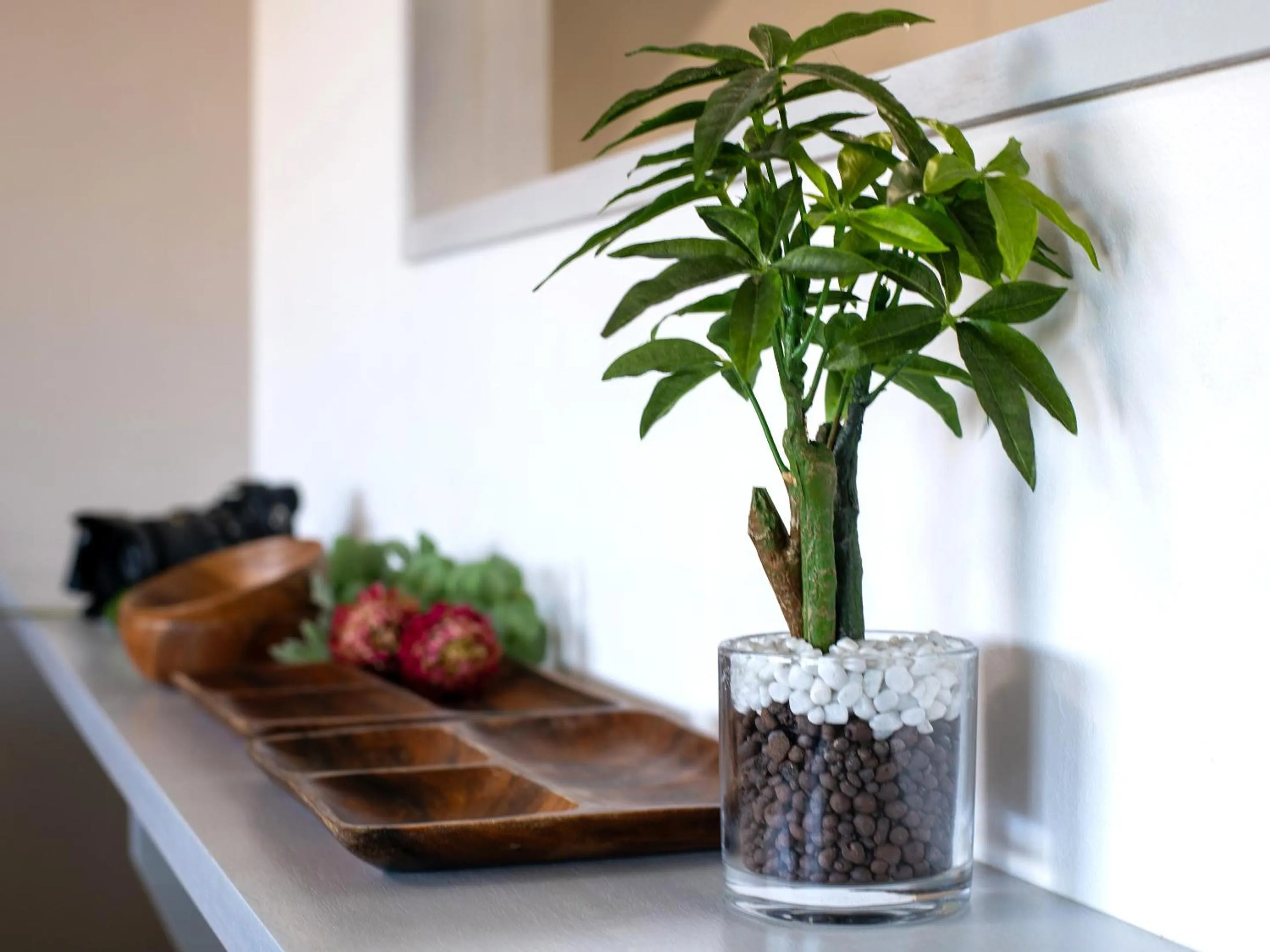 Photo of the whole room in Dolcevita