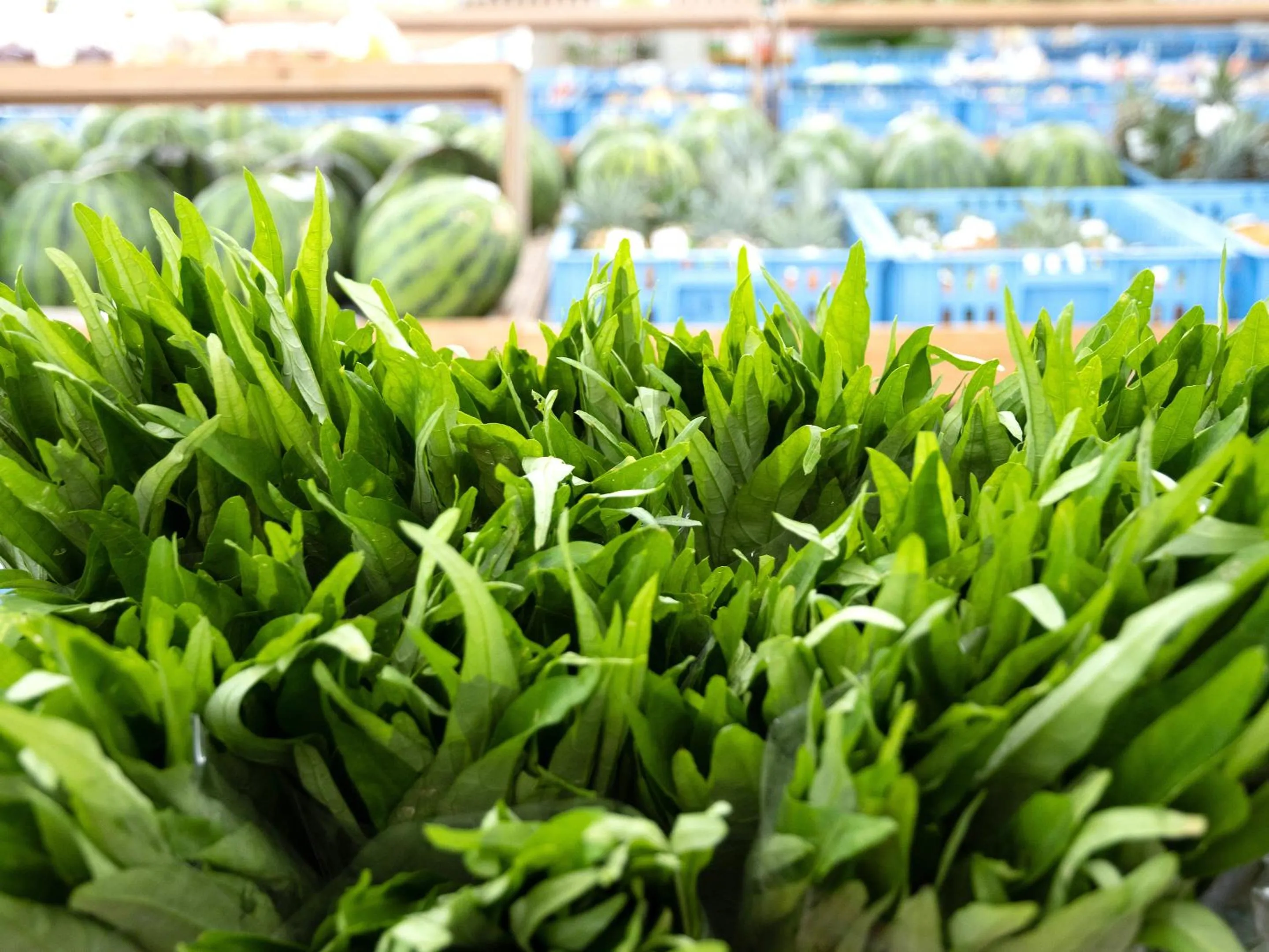 Off site in Dolcevita