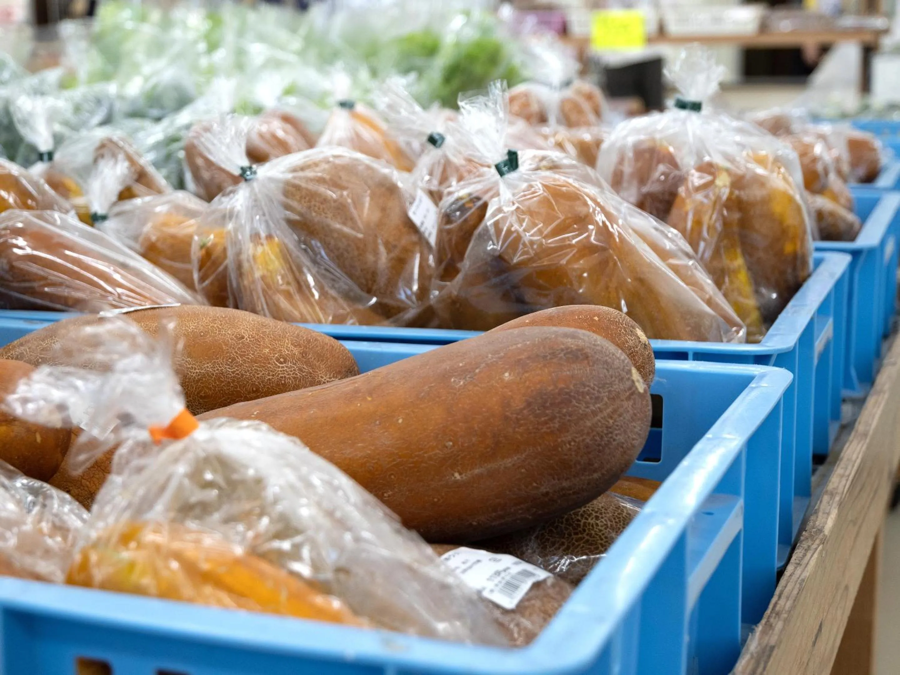 Off site in Dolcevita