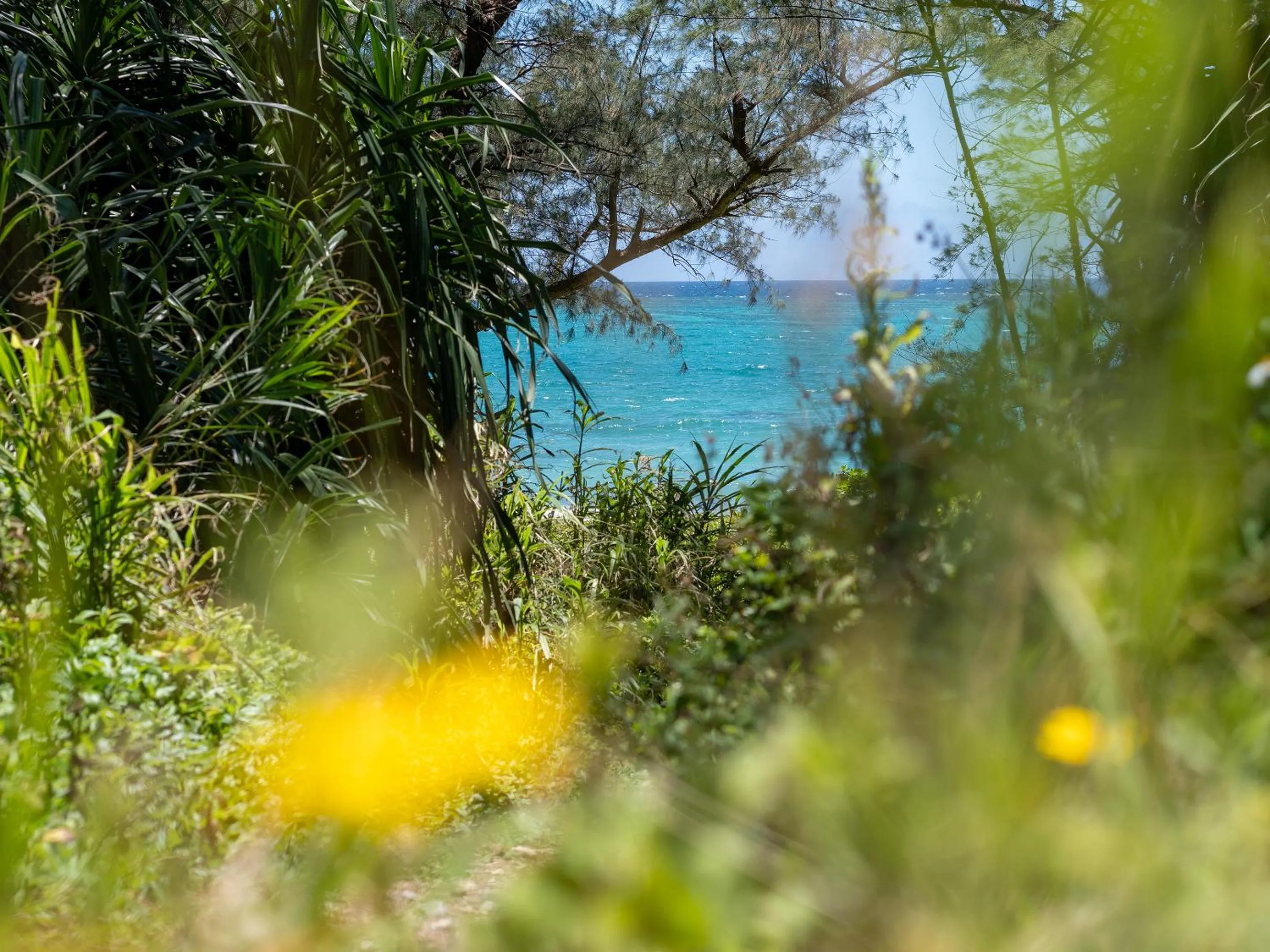 Off site in Dolcevita