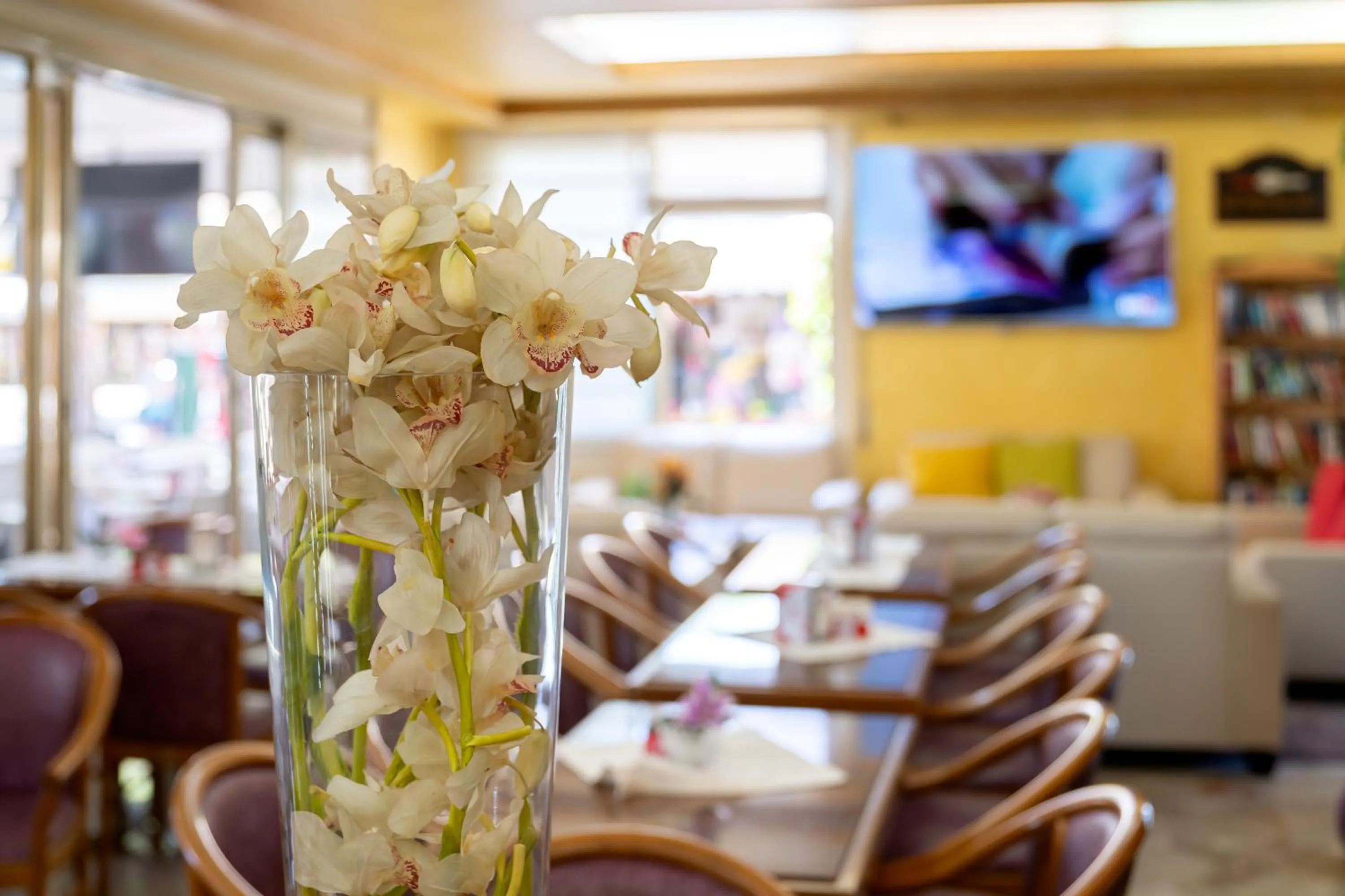 Lounge or bar in Hotel Harry's