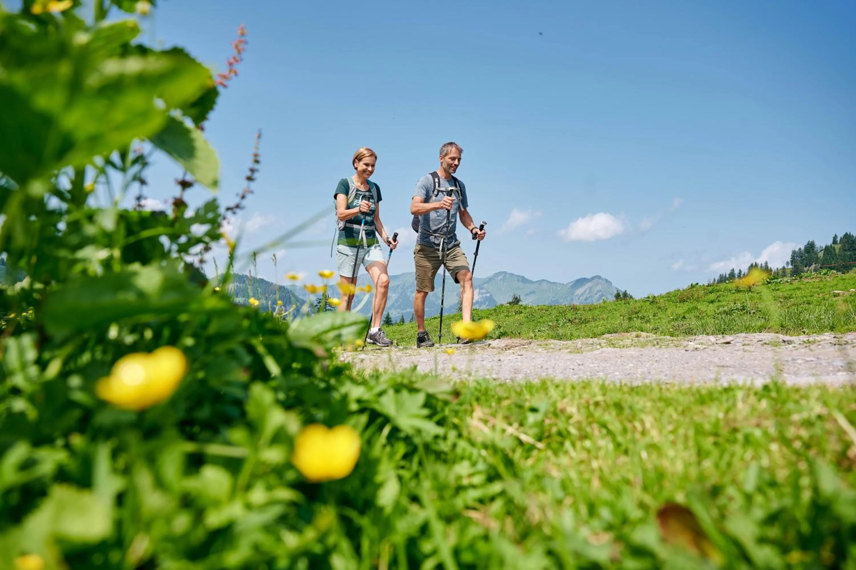 Guests in Schedlers Löwenhotel-GARNI
