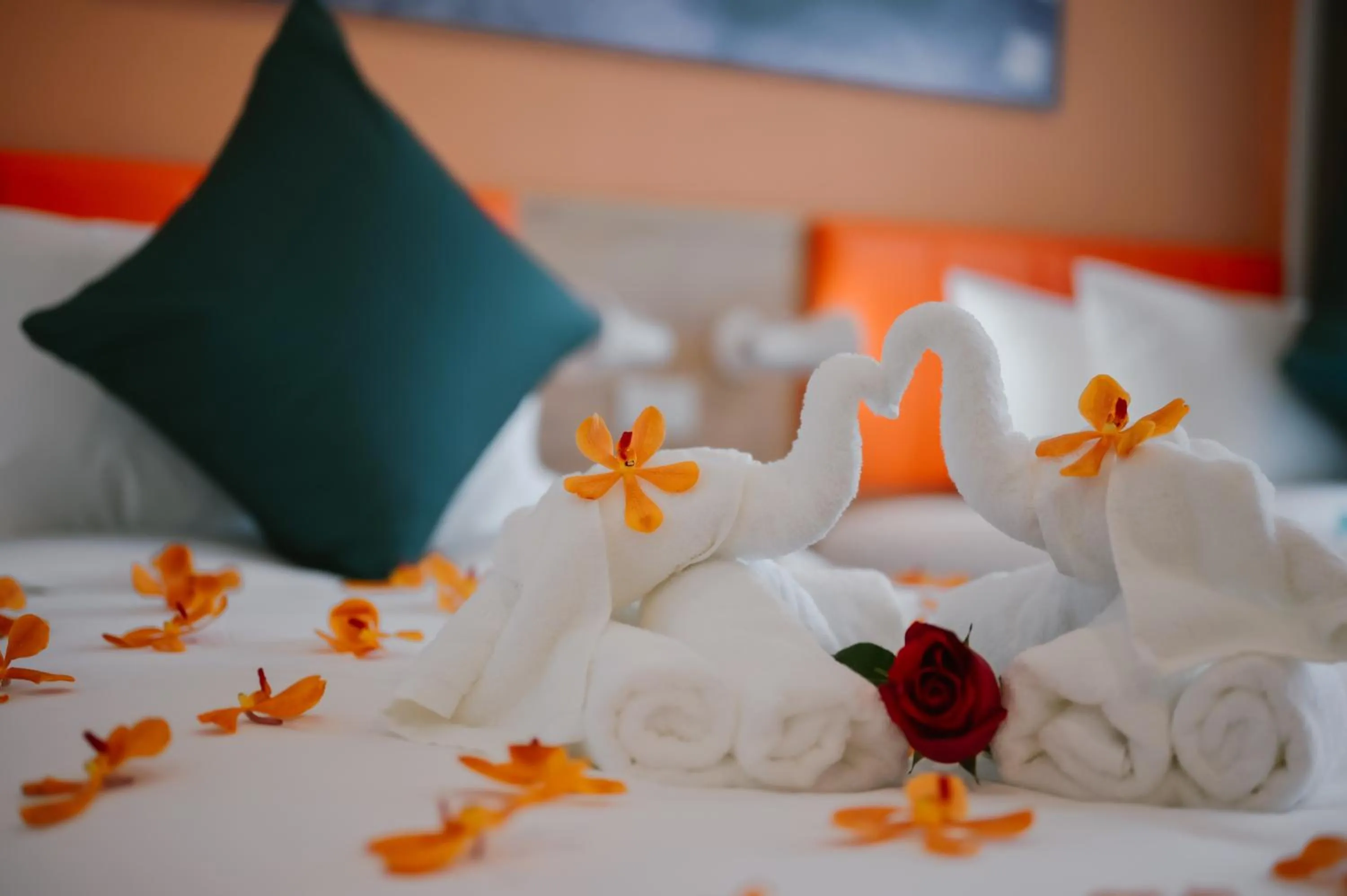 Bed in 7 Days Premium Hotel Don Meaung Airport