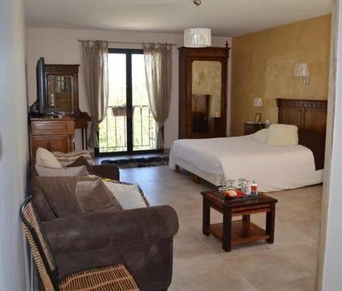 Photo of the whole room in Château Serigues