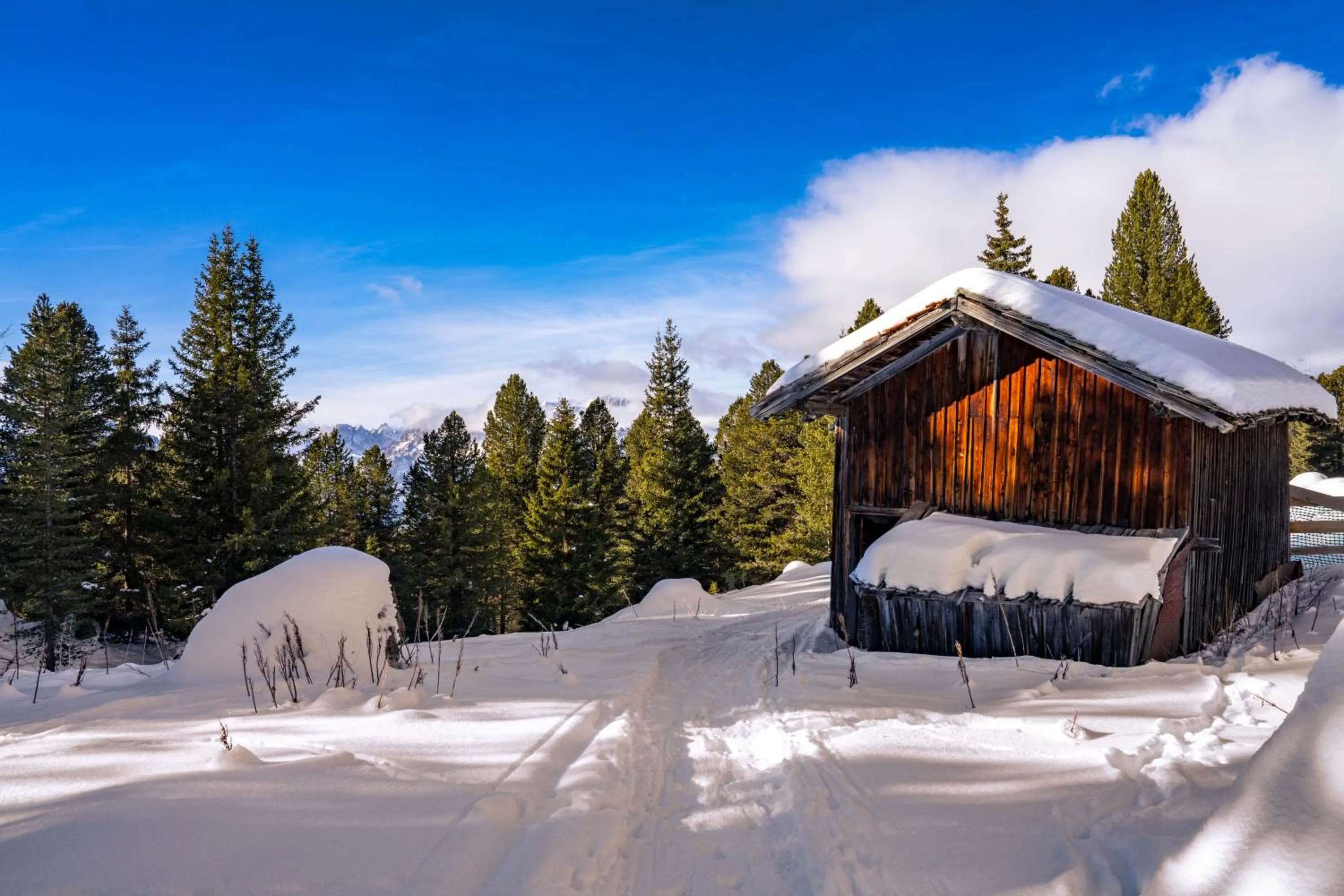 Natural landscape in Hotel Pordoi Passo Pordoi Vegetarian Hotel