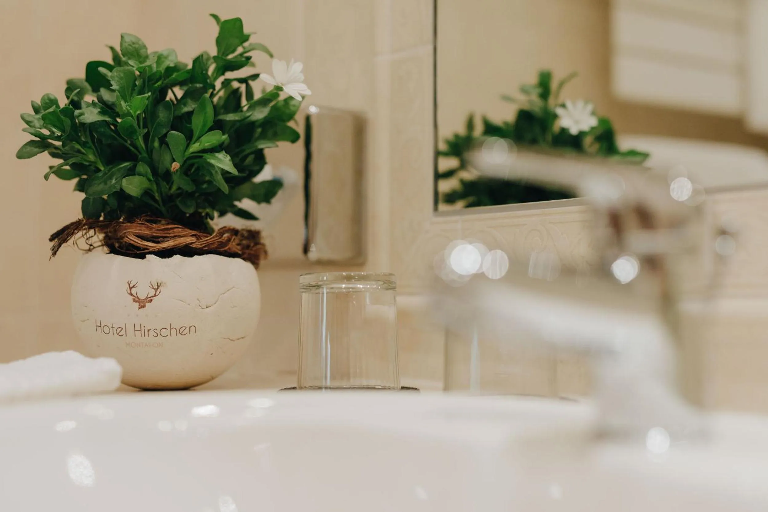 Other in Hotel Hirschen