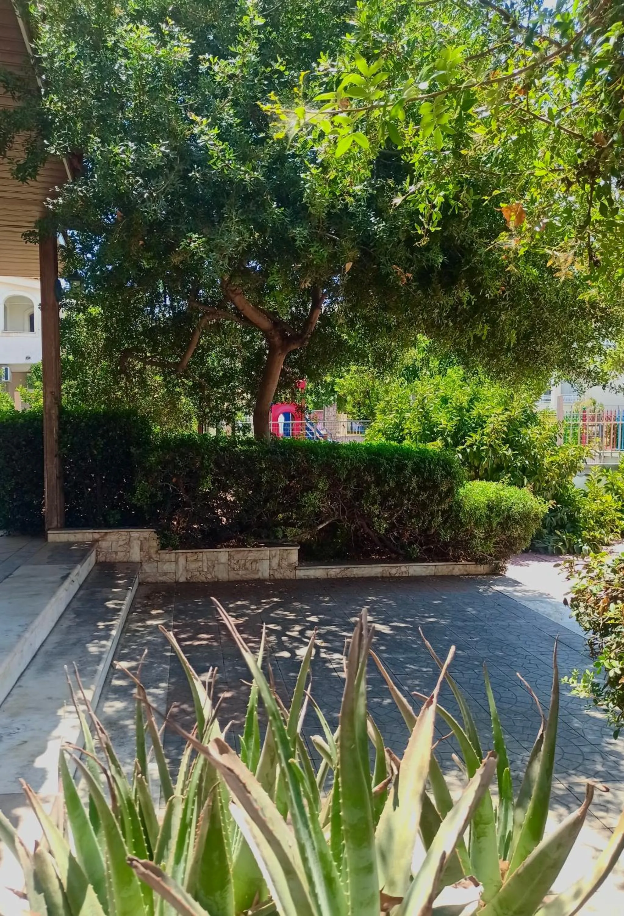 Natural landscape in Vasilios Marinos Rooms