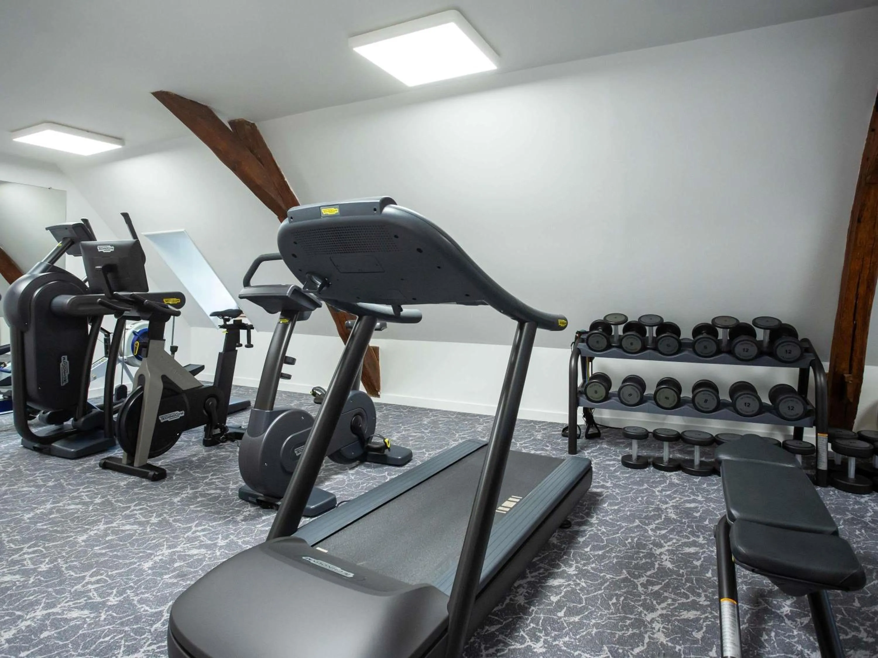 Fitness centre/facilities in Hotel De Bourbon Grand Hotel Mercure Bourges