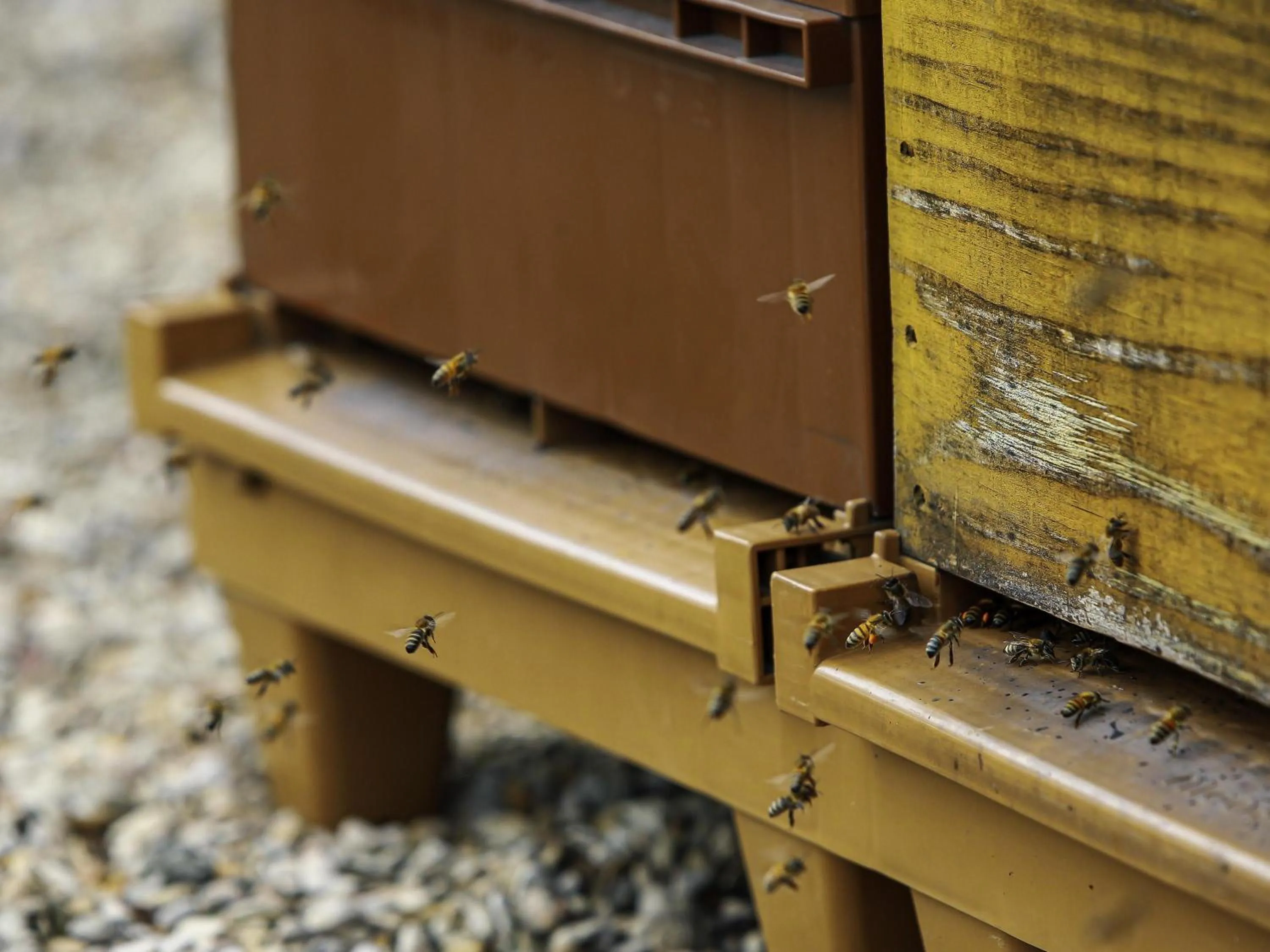 Other in Novotel Paris 17