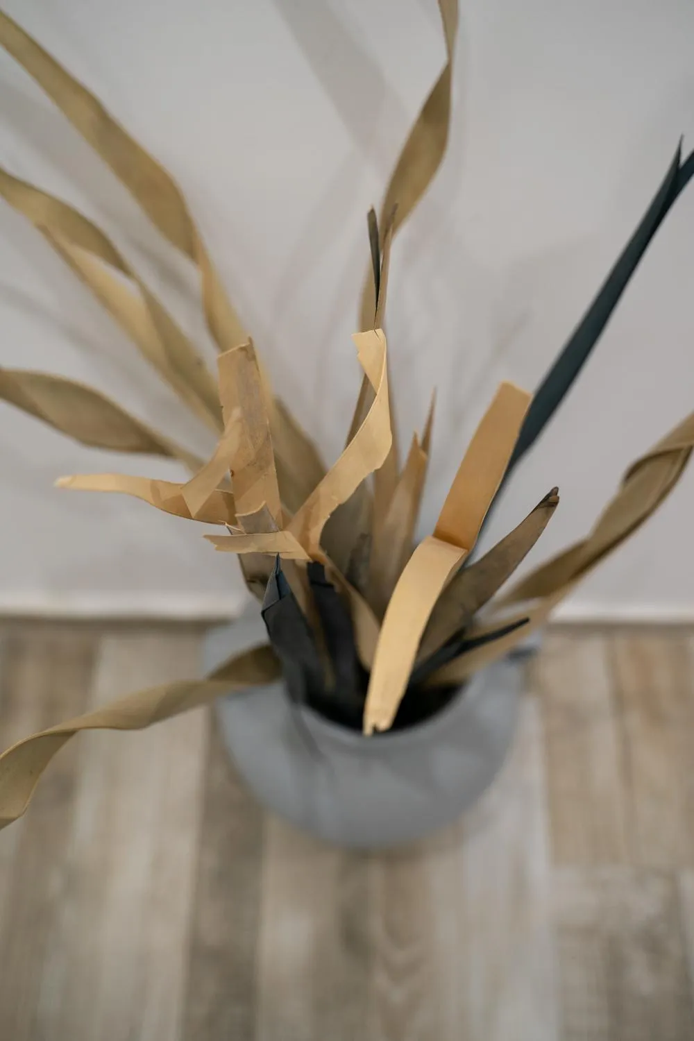 Naxos Enjoy Apartments