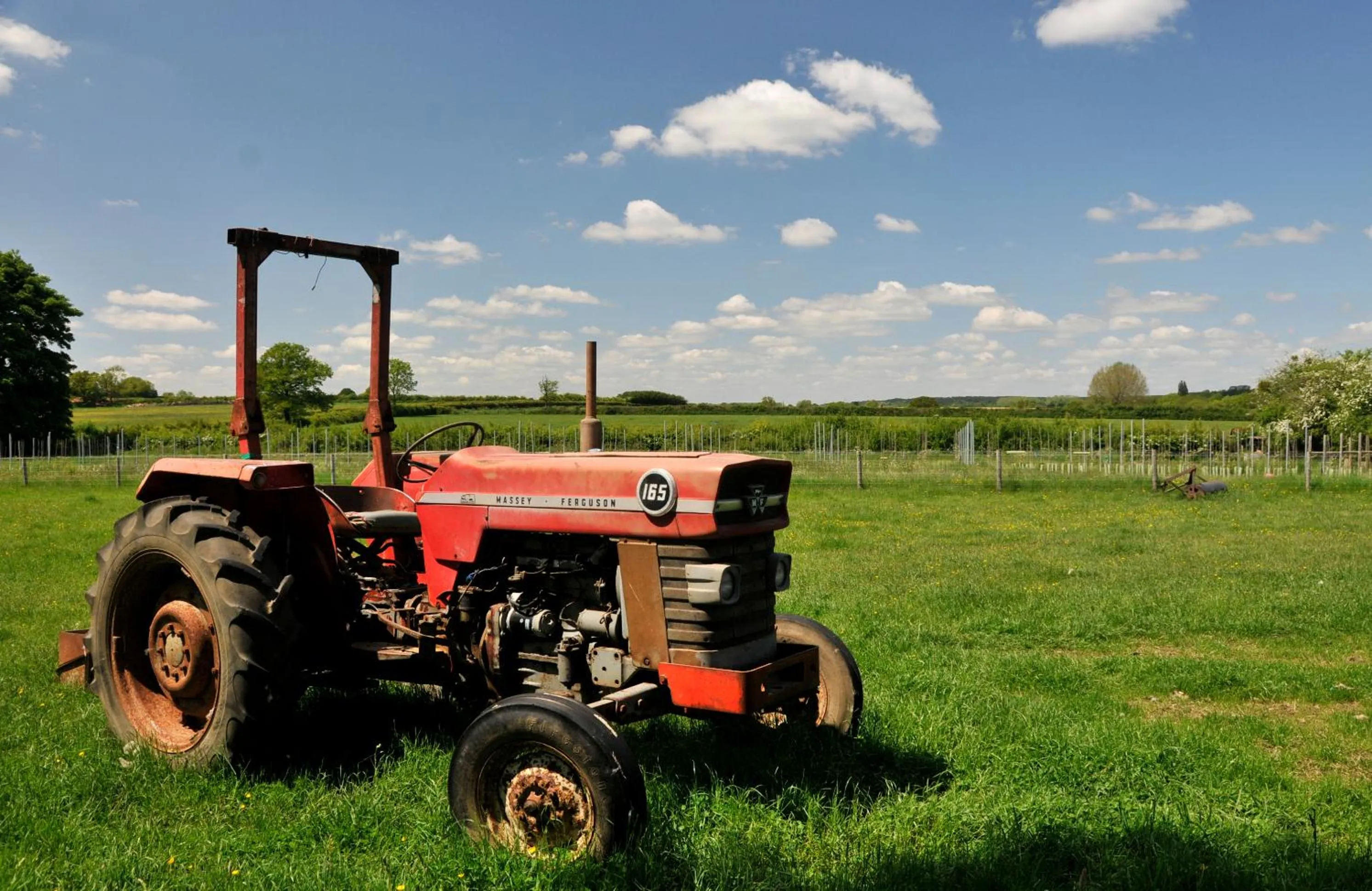 Garden view in The Swallows Rest Bed & Breakfast