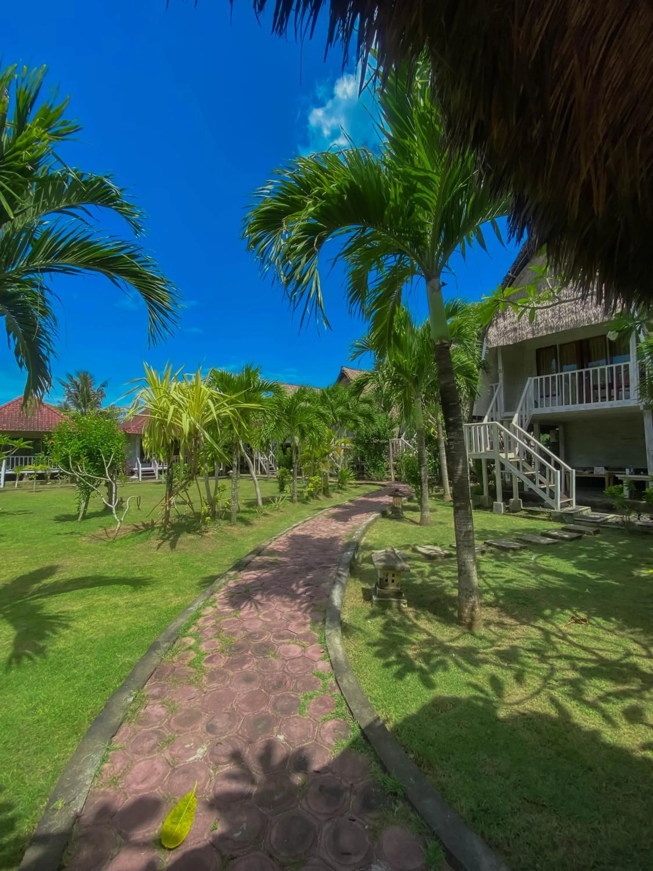 Natural landscape in Abian Huts Dream Beach Lembongan