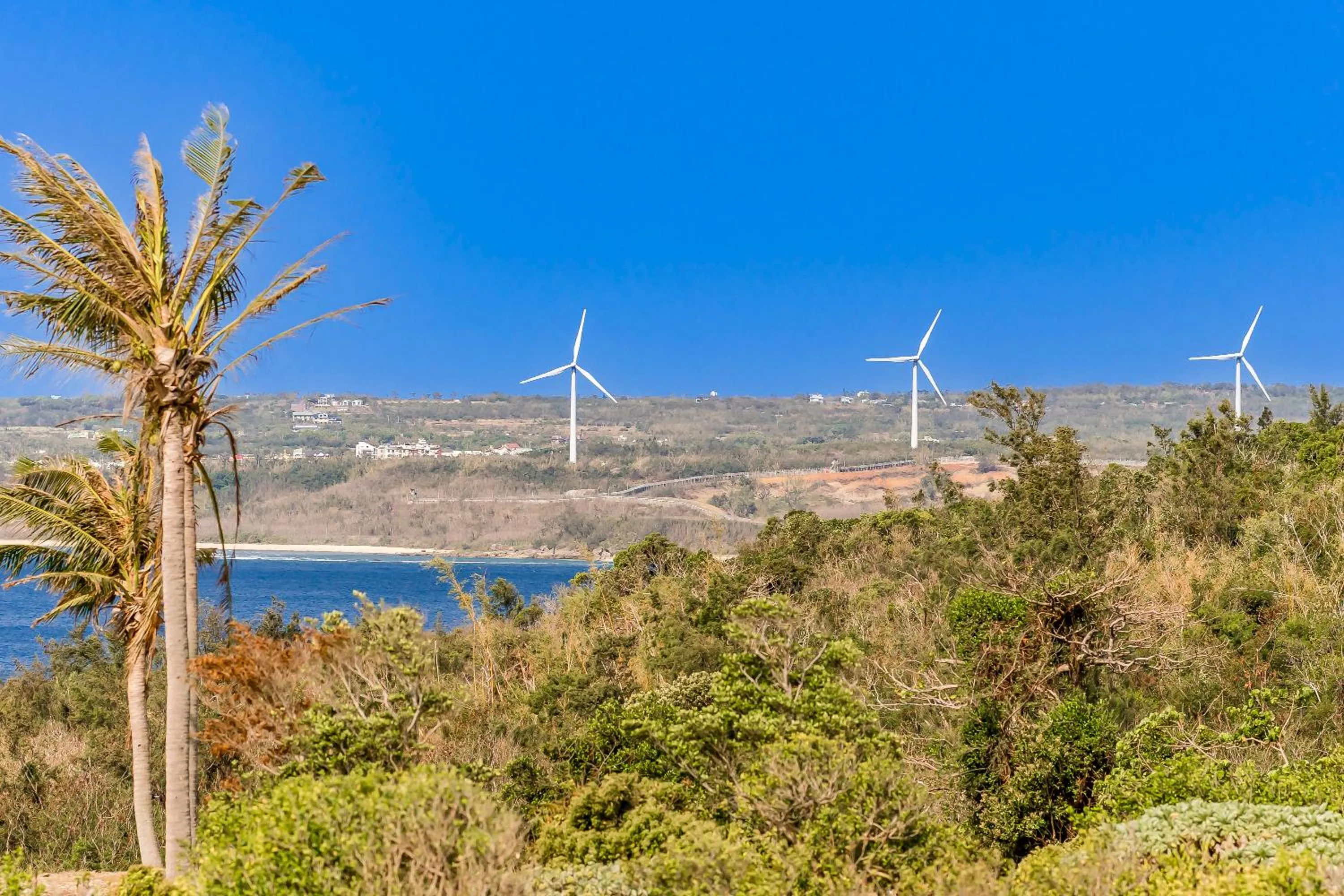 Sea view in Southern Sun Homestay North