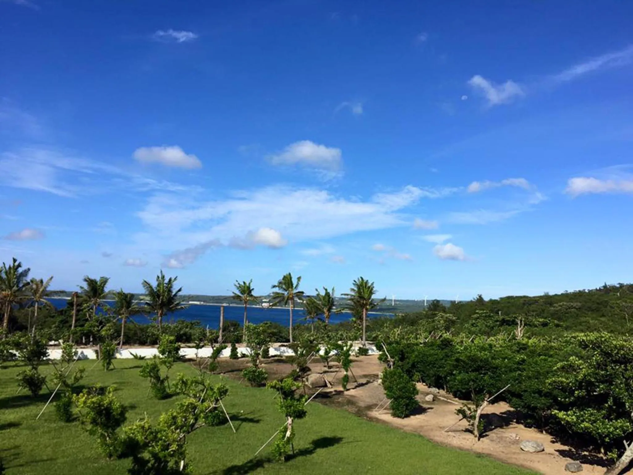 Garden view in Southern Sun Homestay North