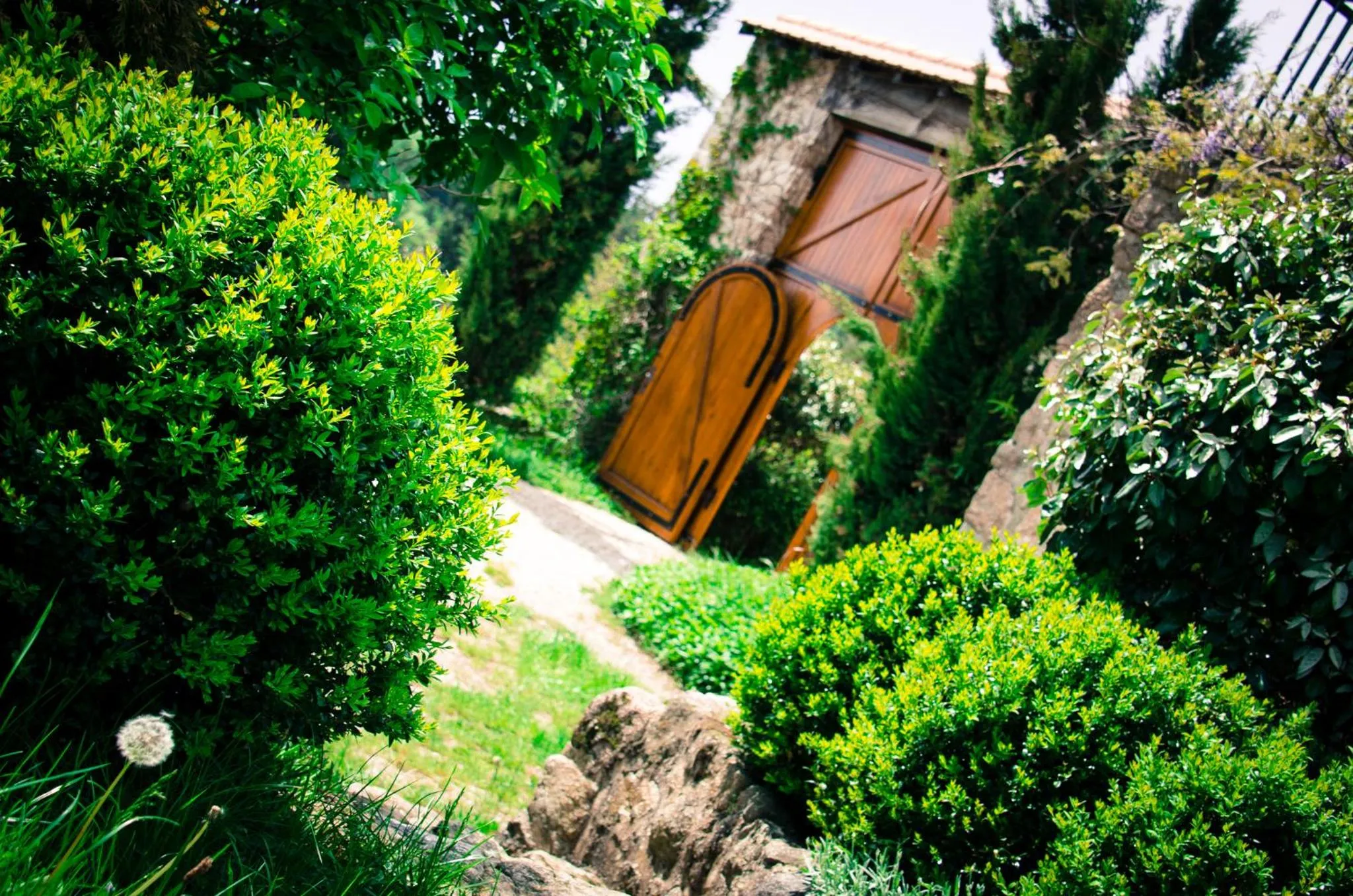 Garden in Le Petit Rias Gîte Soleil