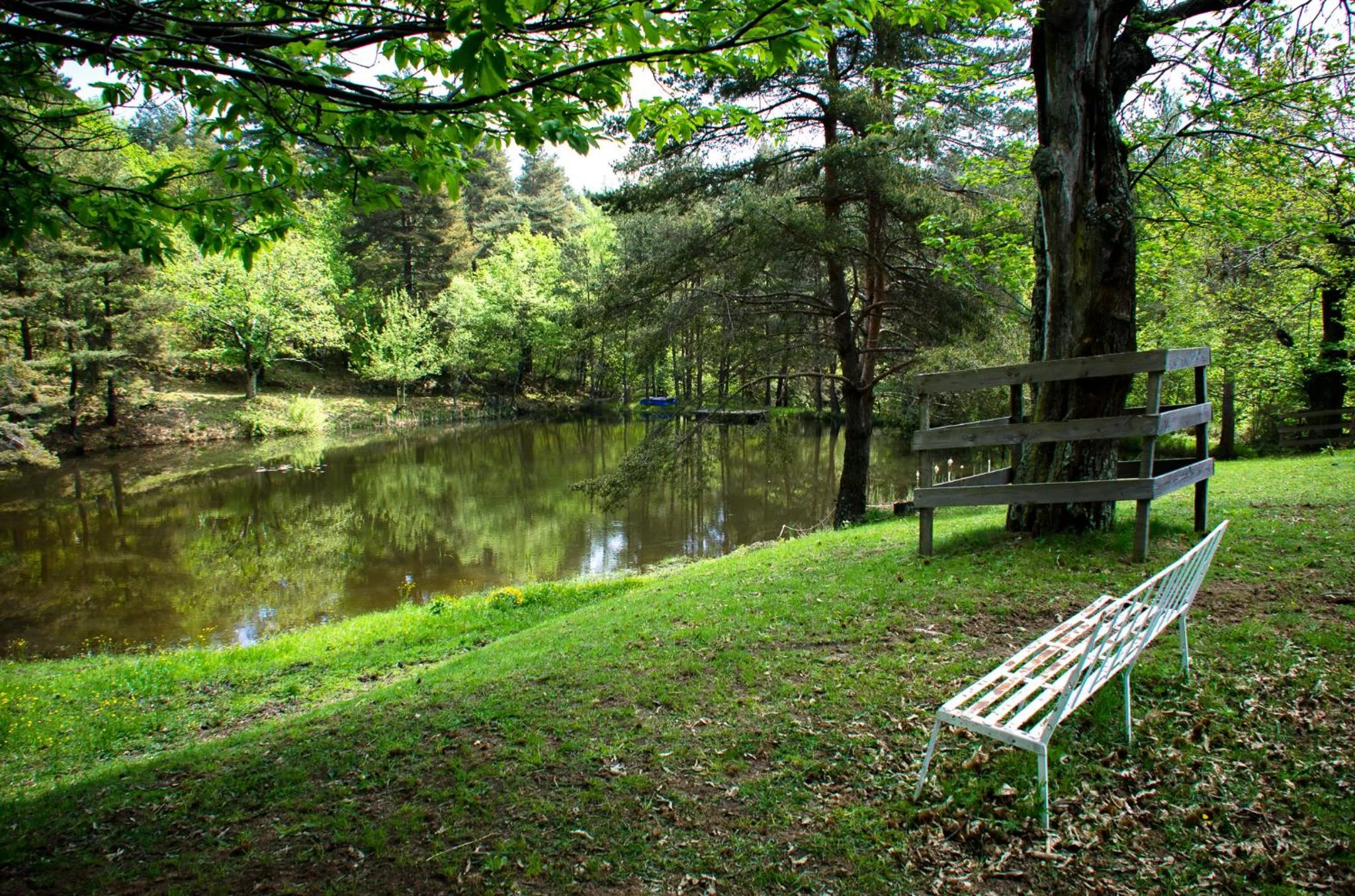 Lake view in Le Petit Rias Gîte Soleil