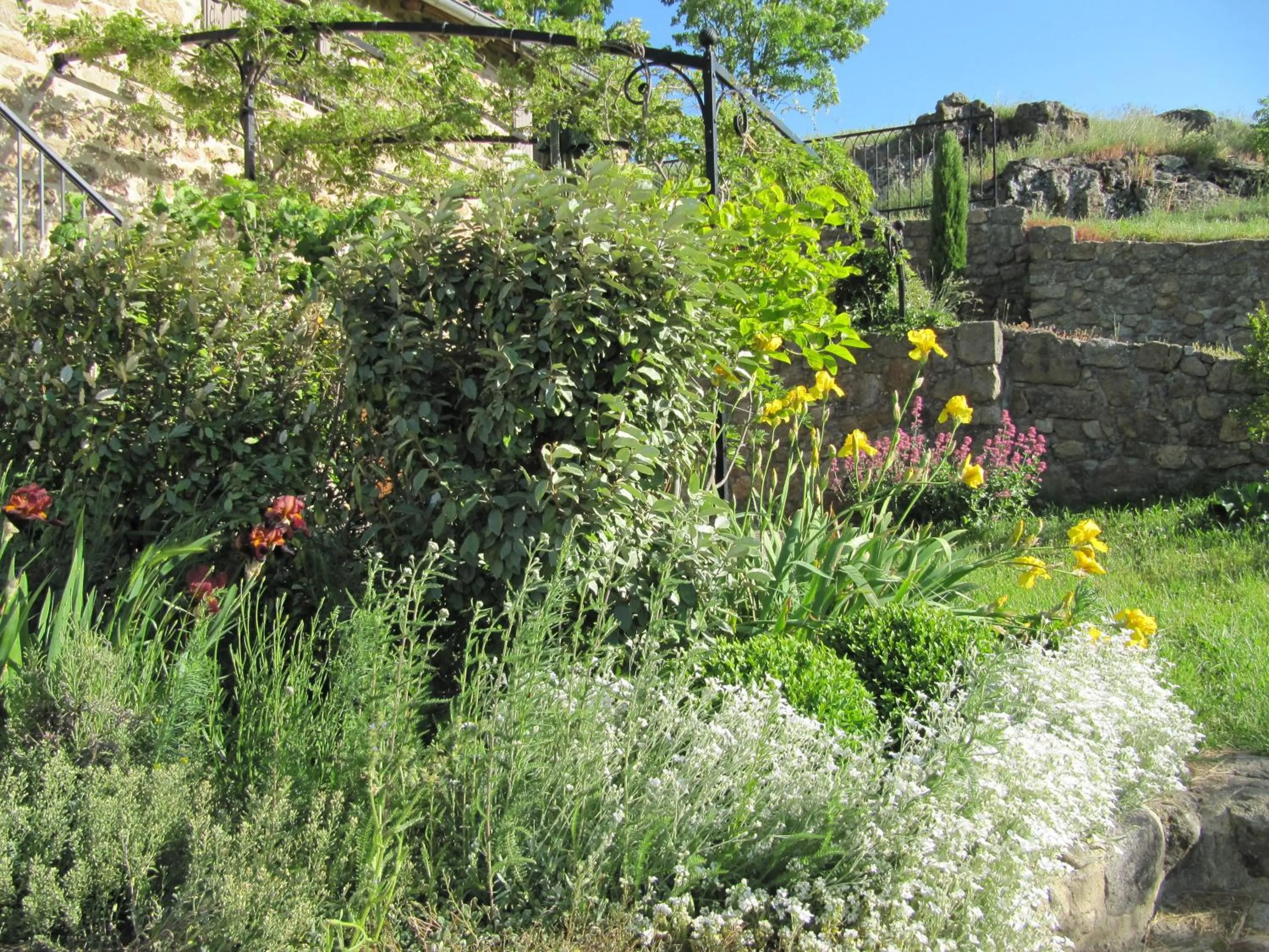 Garden in Le Petit Rias Gîte Soleil