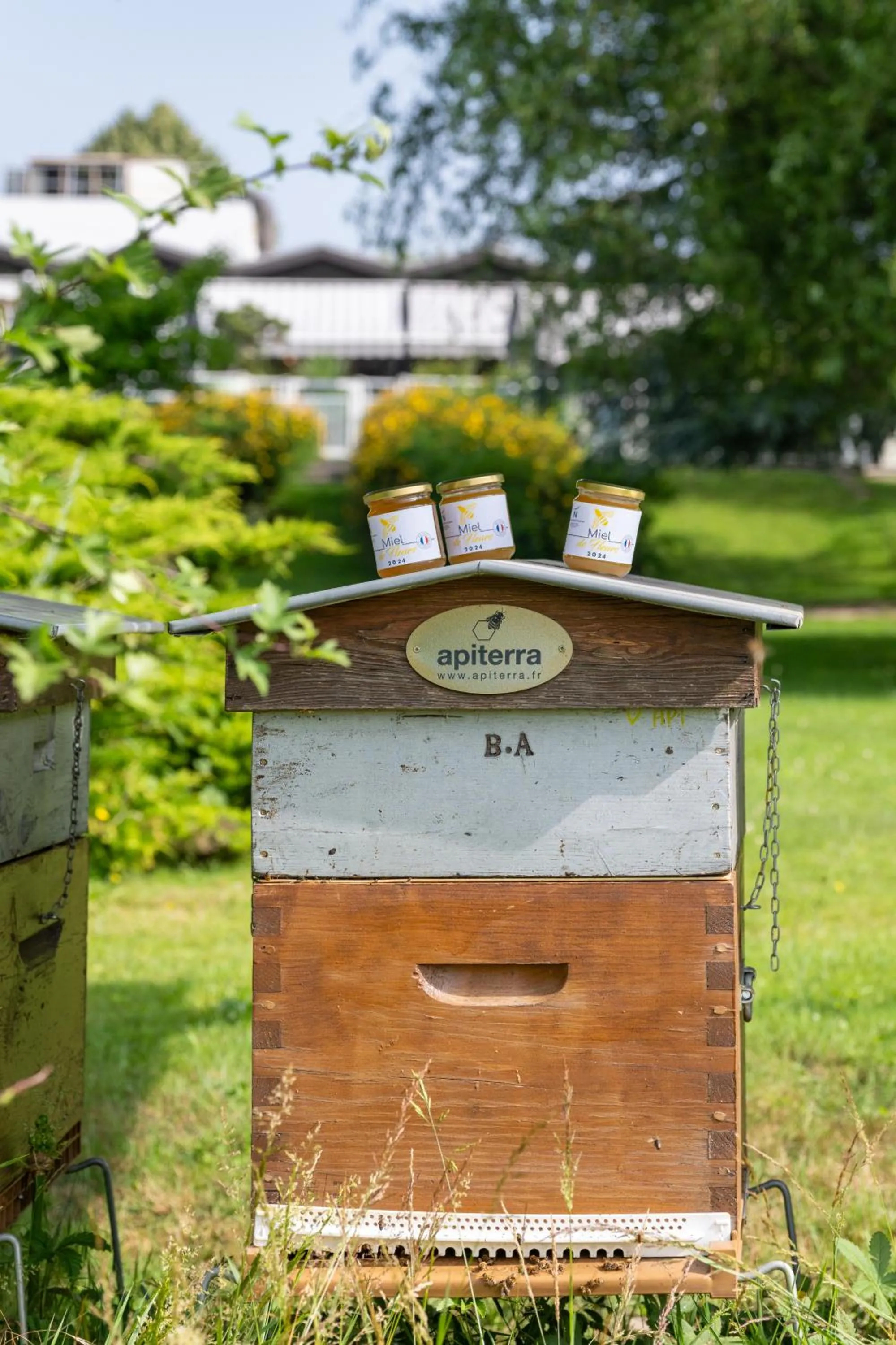 Natural landscape in Novotel Grenoble Nord Voreppe