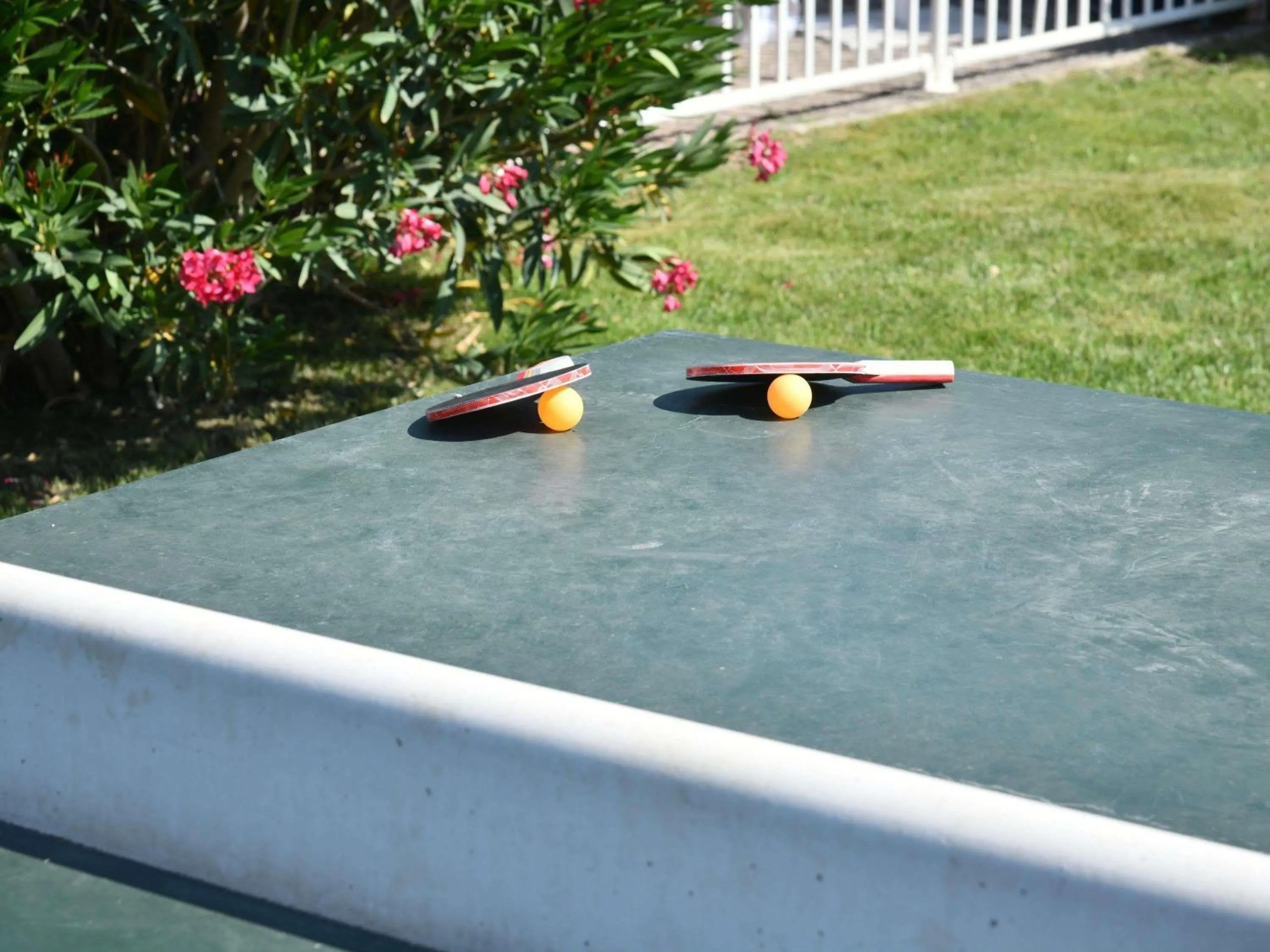 Other in ibis Styles Avignon Sud