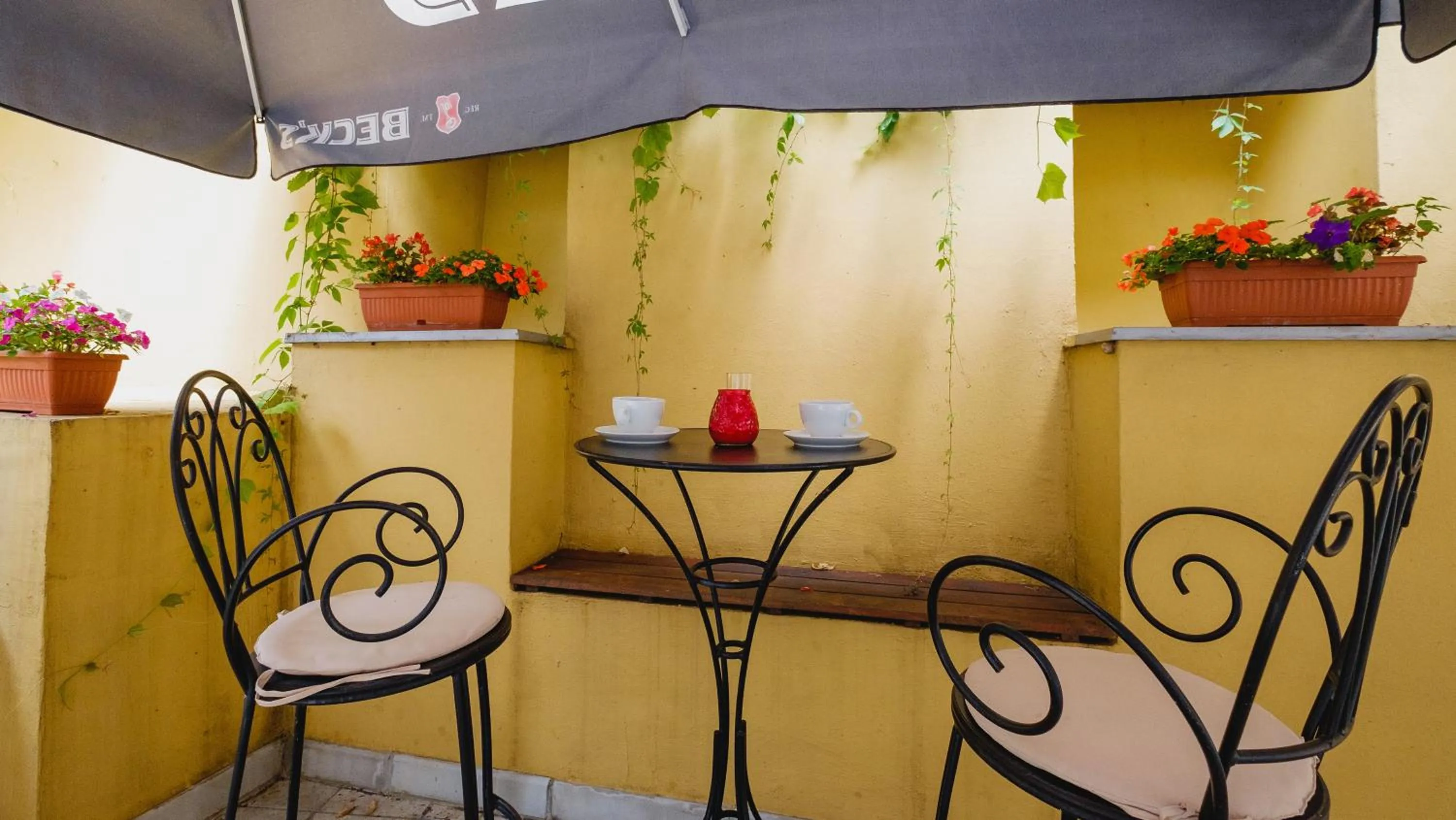 Garden in Villa Bulevar