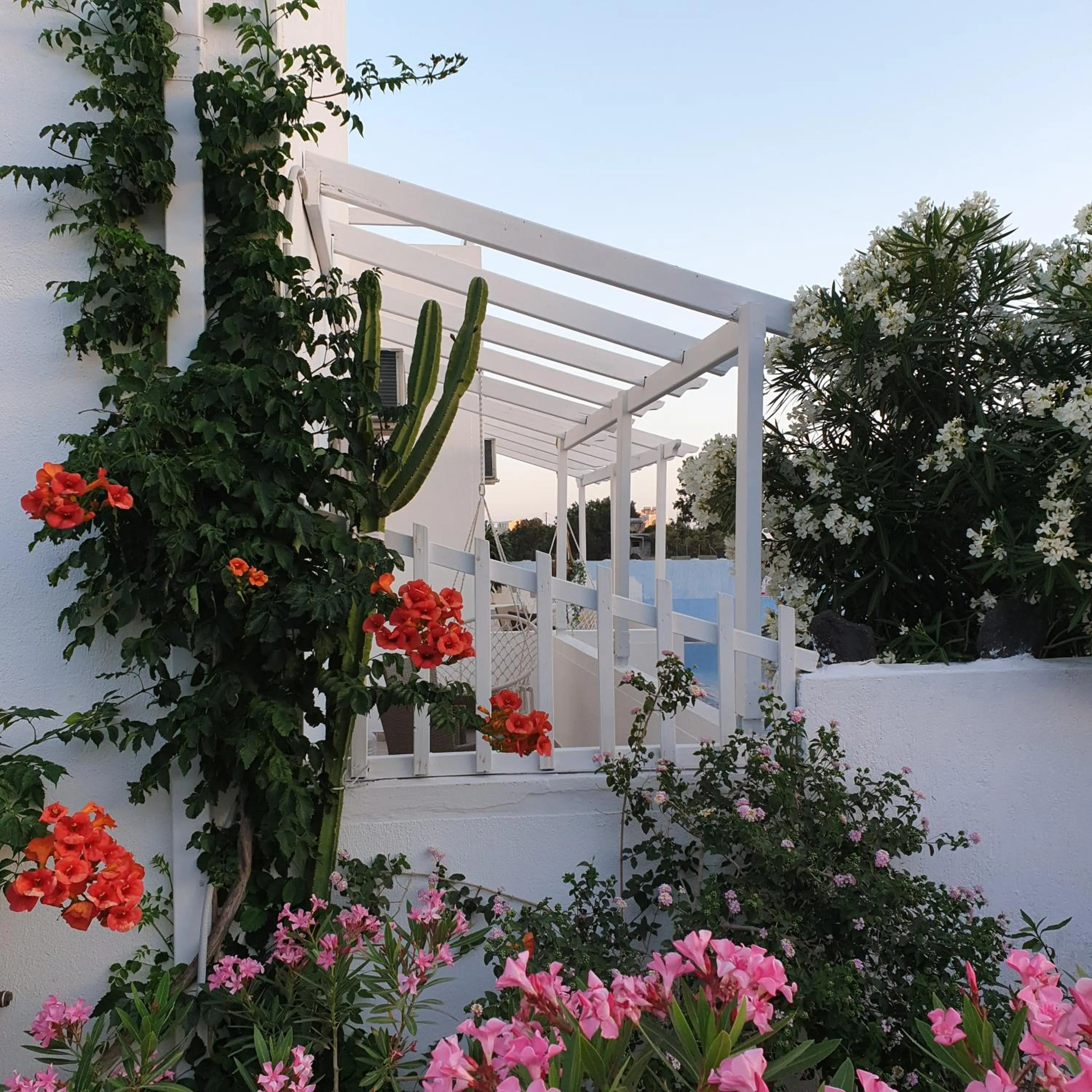 Garden in Sagma Central Rooms