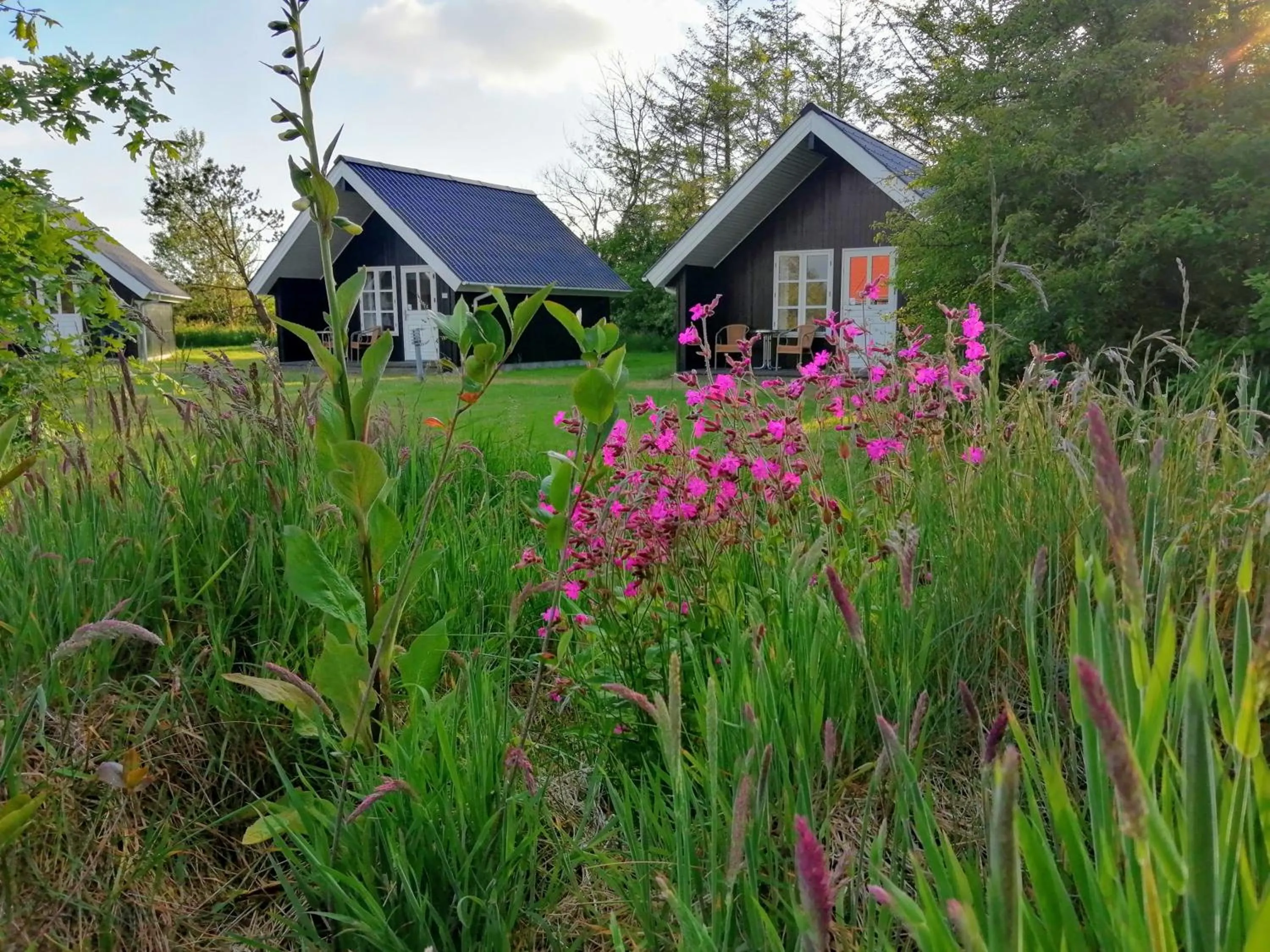 View (from property/room) in Lindvig - Ferie i naturen