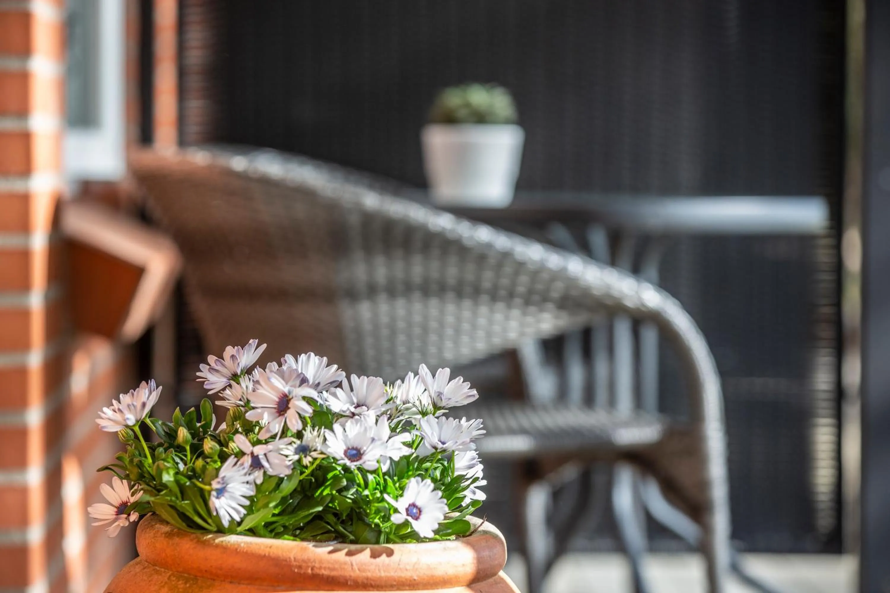 Balcony/Terrace in Lindvig - Ferie i naturen