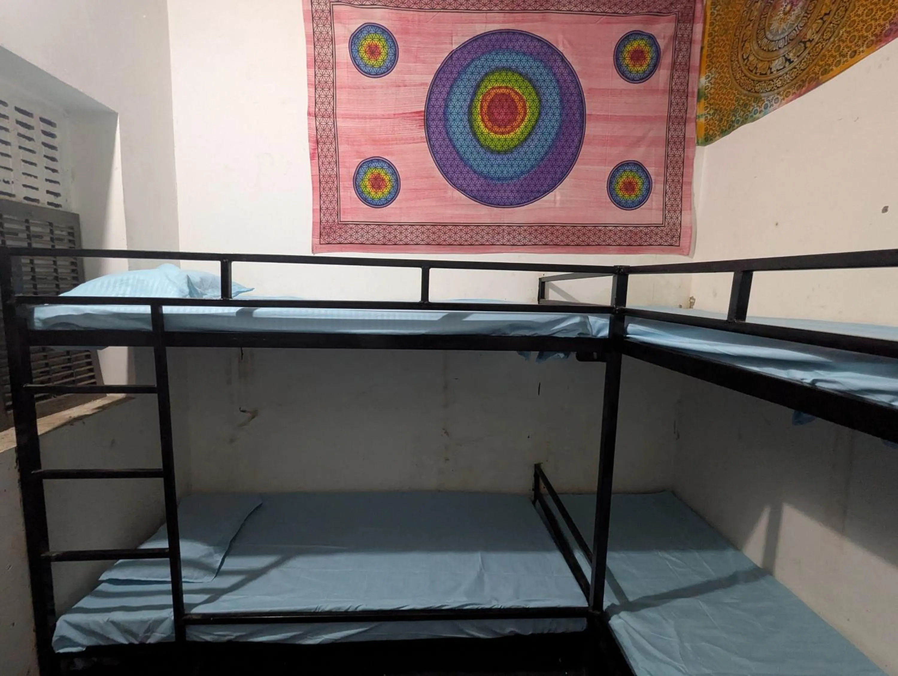 Bed in 4-Bed Female Dormitory Room in HOTEL THE PUSHKAR FLOWER