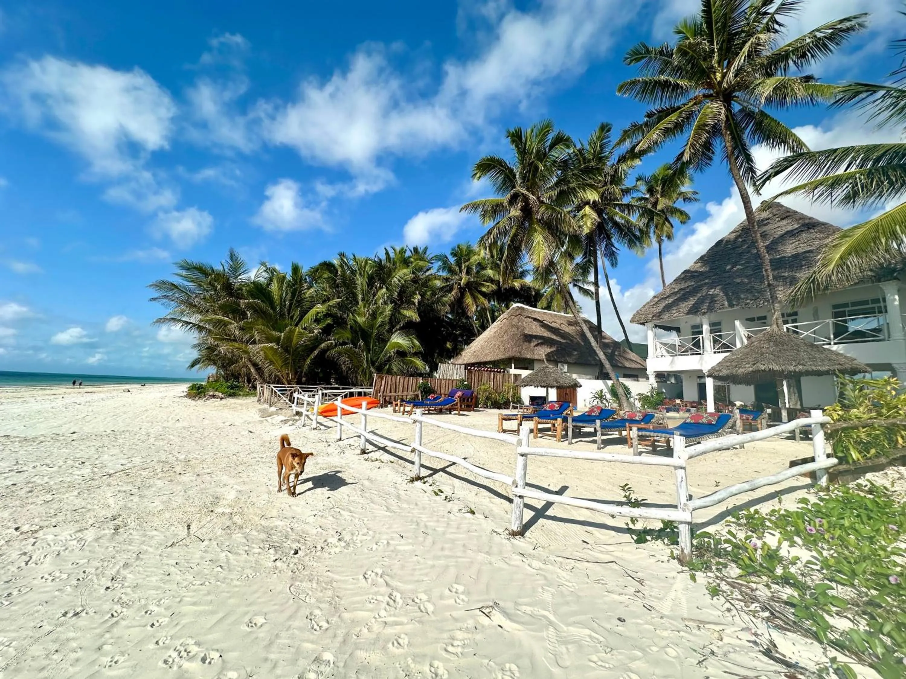 The African Paradise Beach Hotel