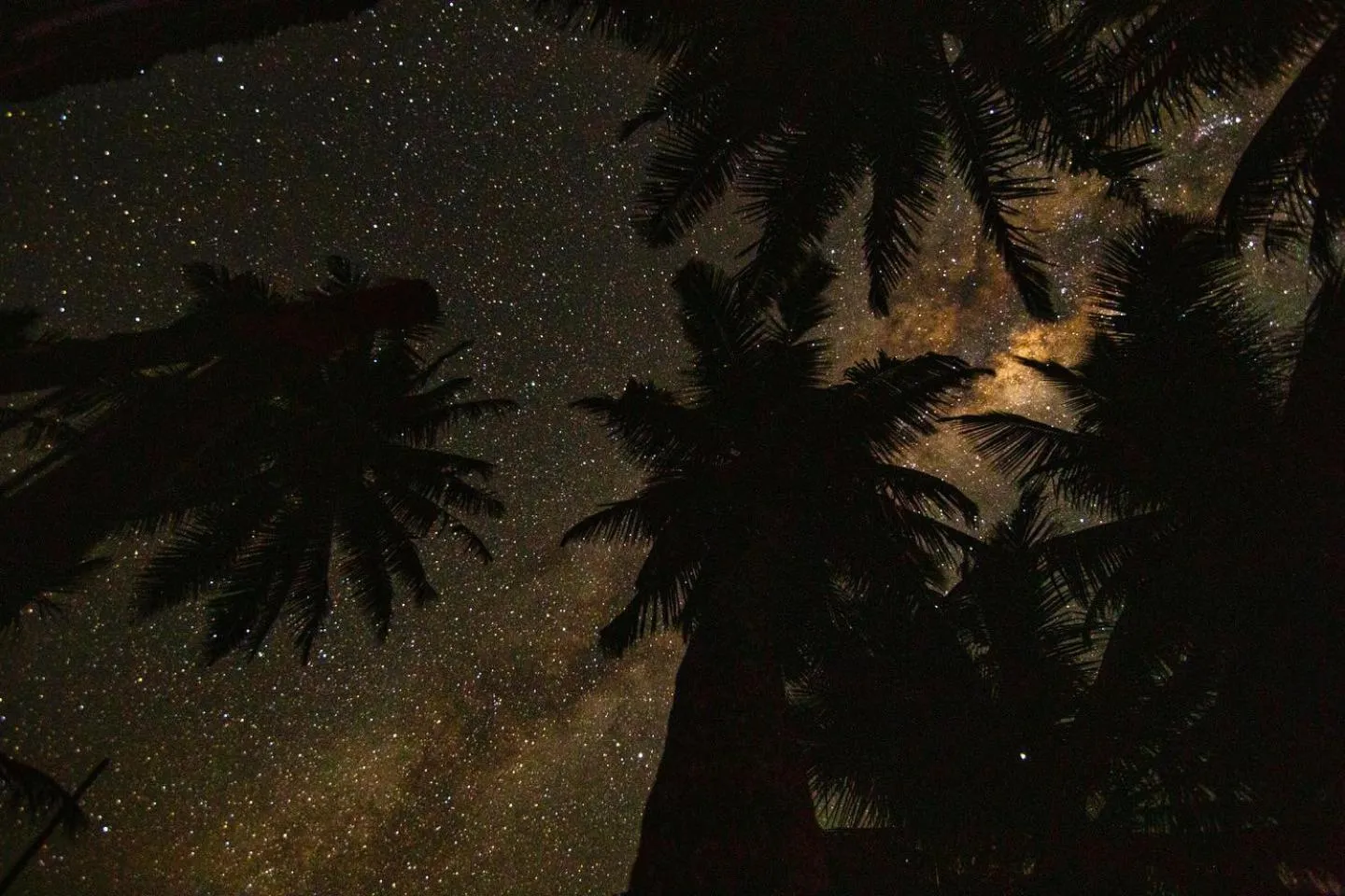 The African Paradise Beach Hotel