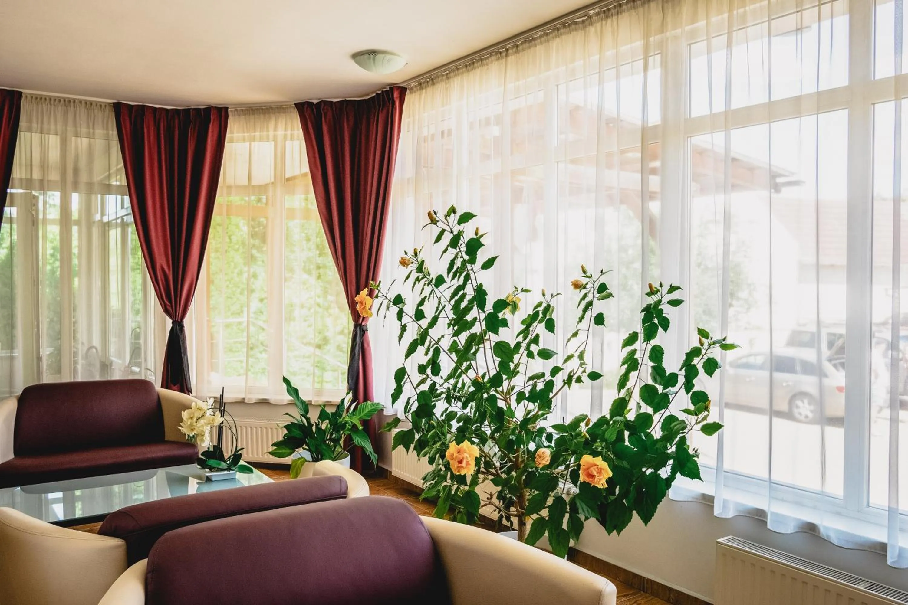 Seating area in Hotel Eden