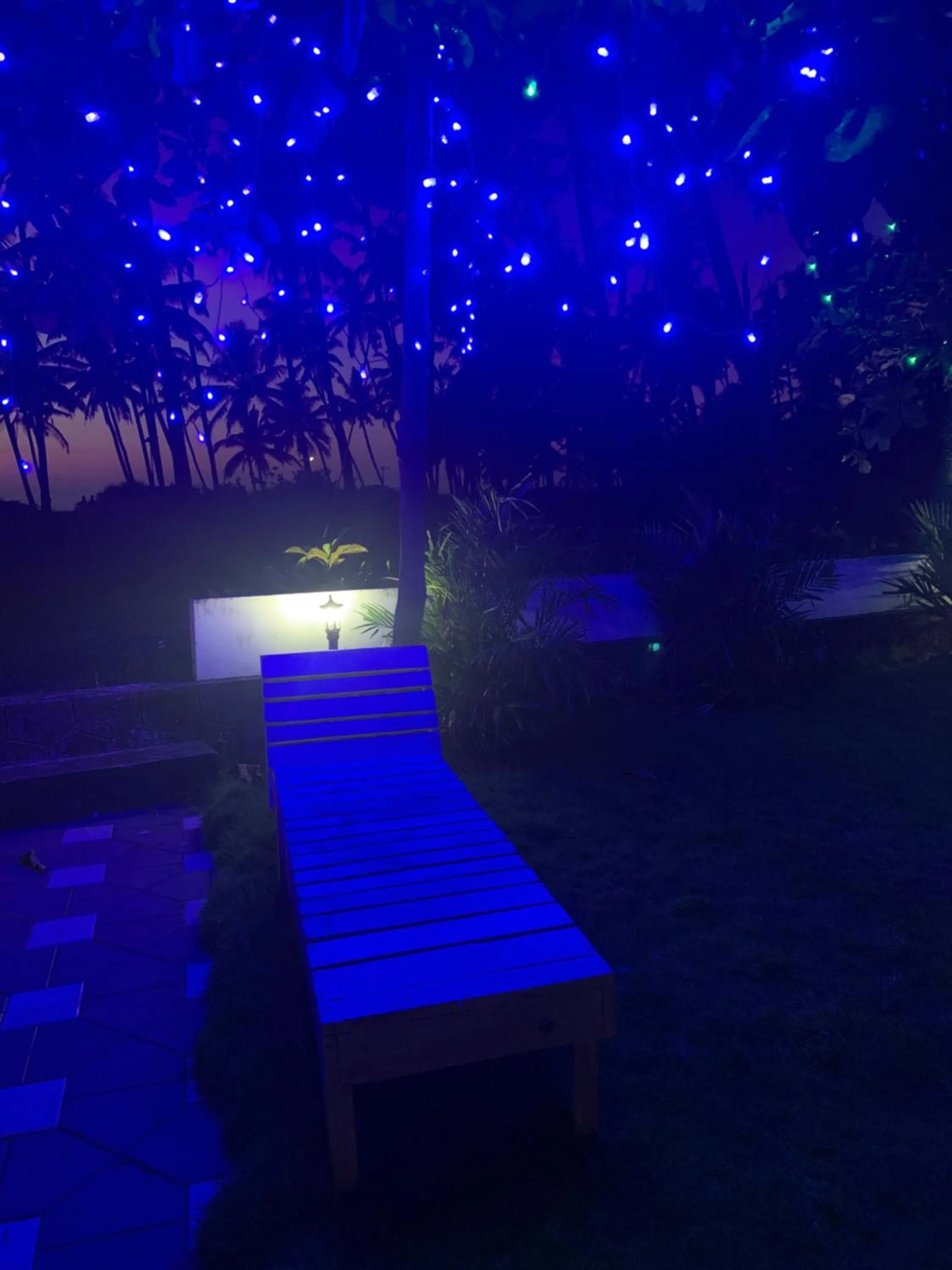 Garden in Royal KazBay Beach Resort