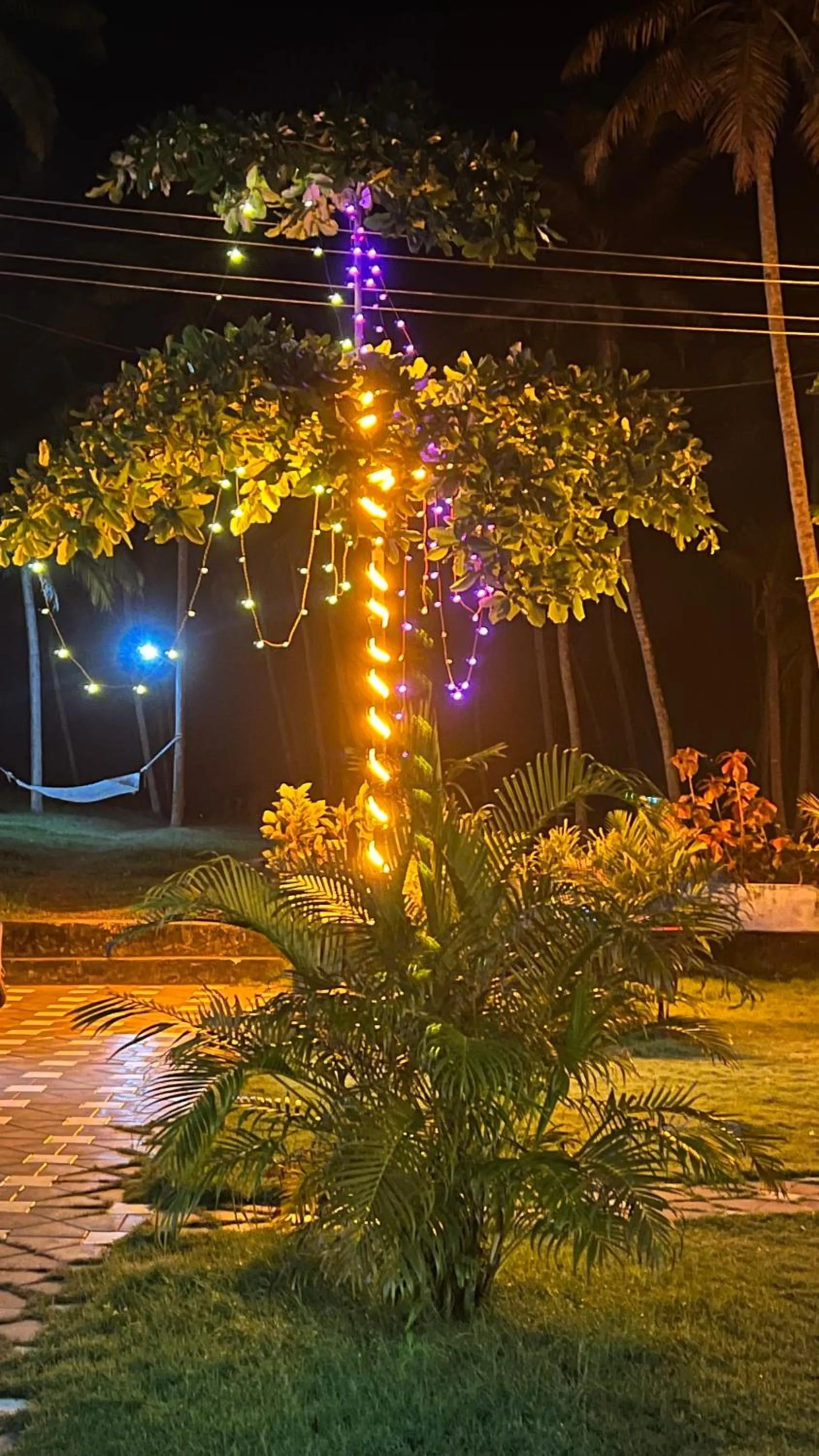 Natural landscape in Royal KazBay Beach Resort
