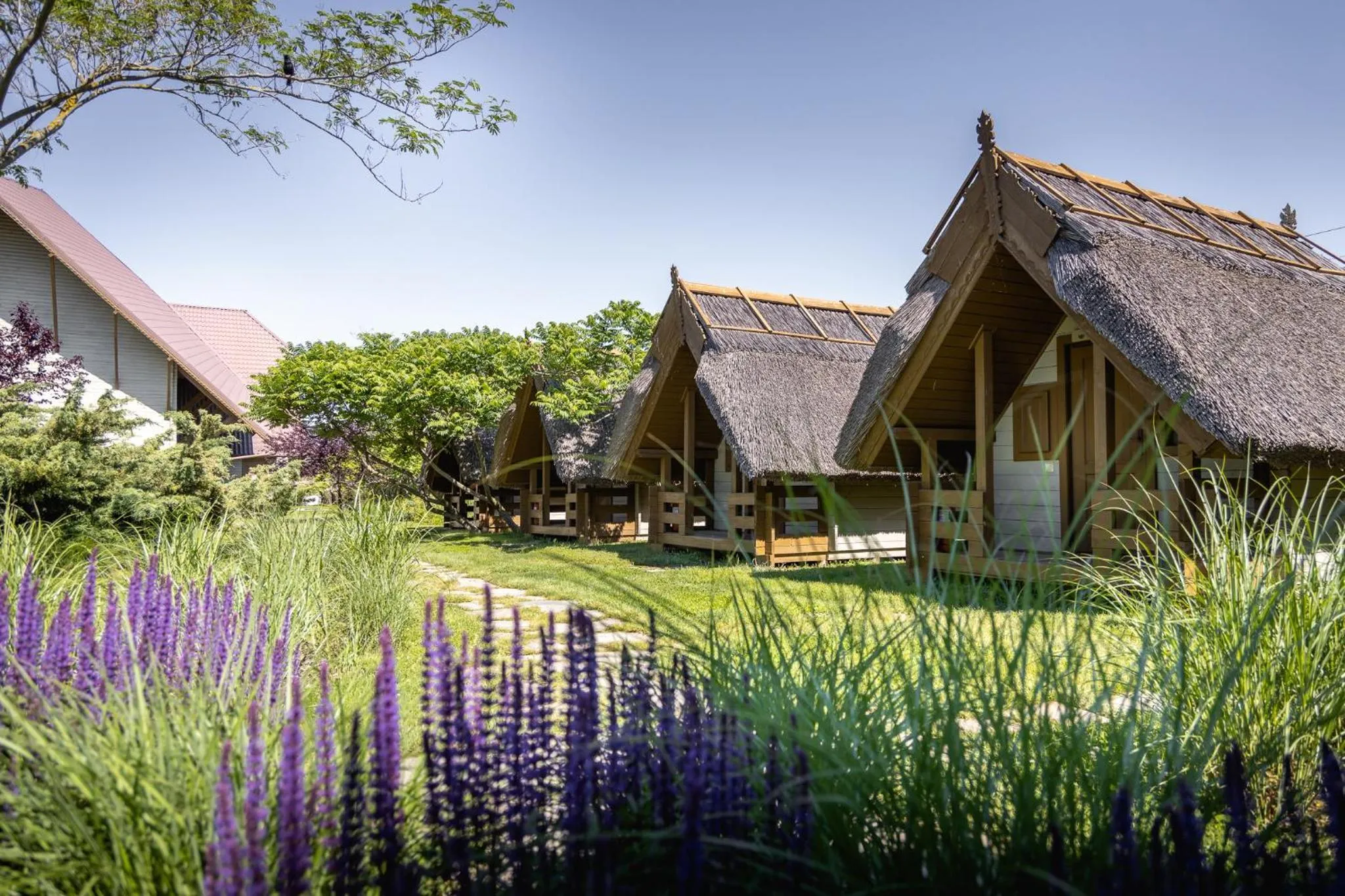 Property building in Green Village Resort