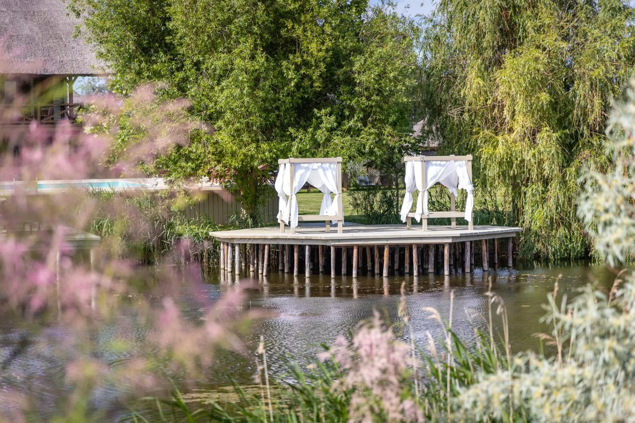 Natural landscape in Green Village Resort