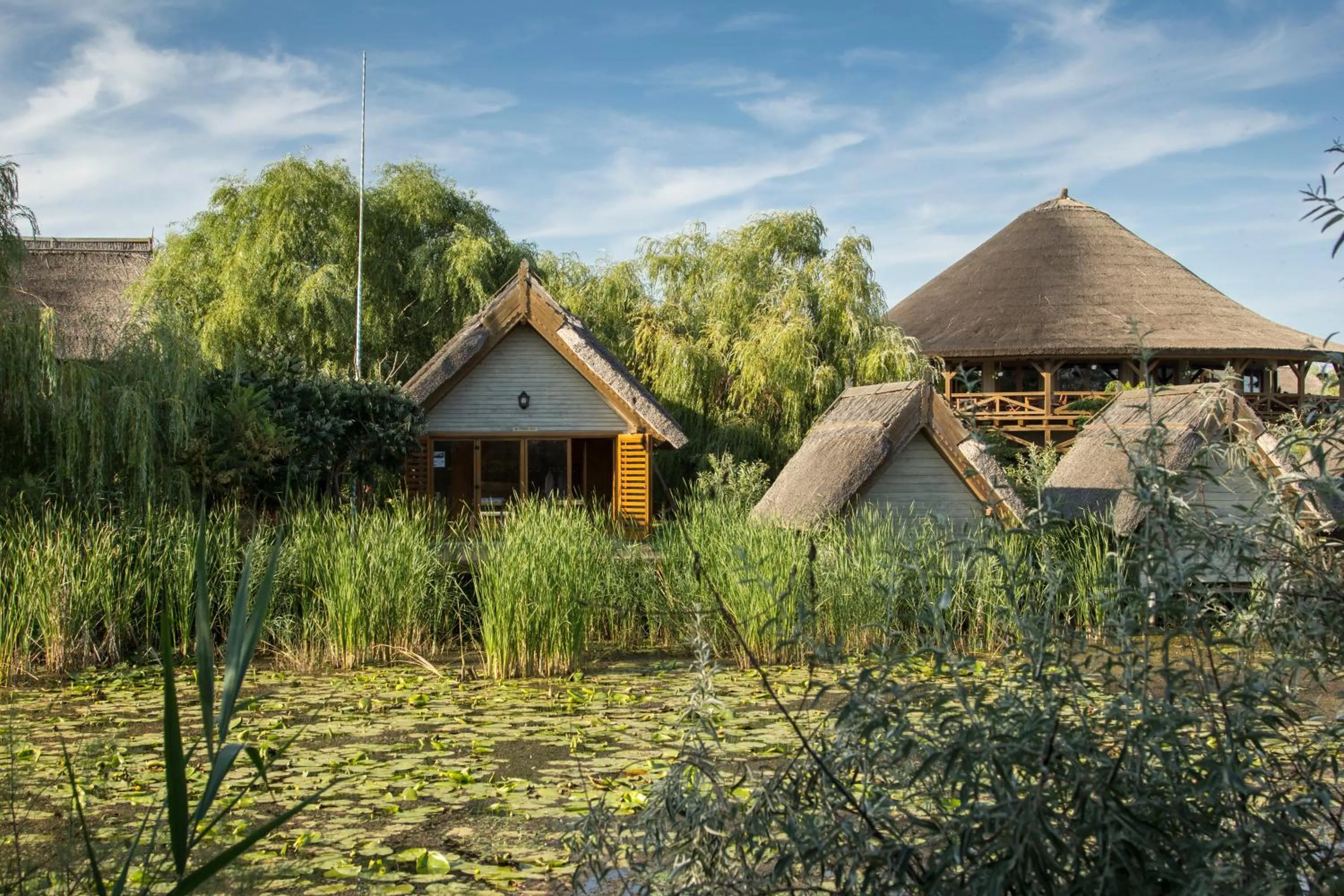 Property building in Green Village Resort