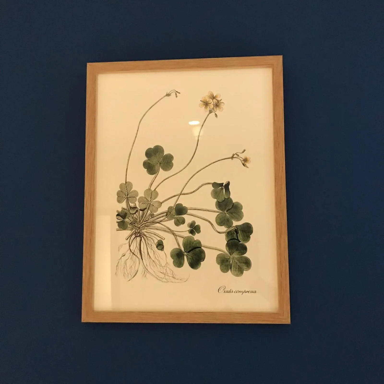 Decorative detail in Hôtel Le G (ex Le Genève)