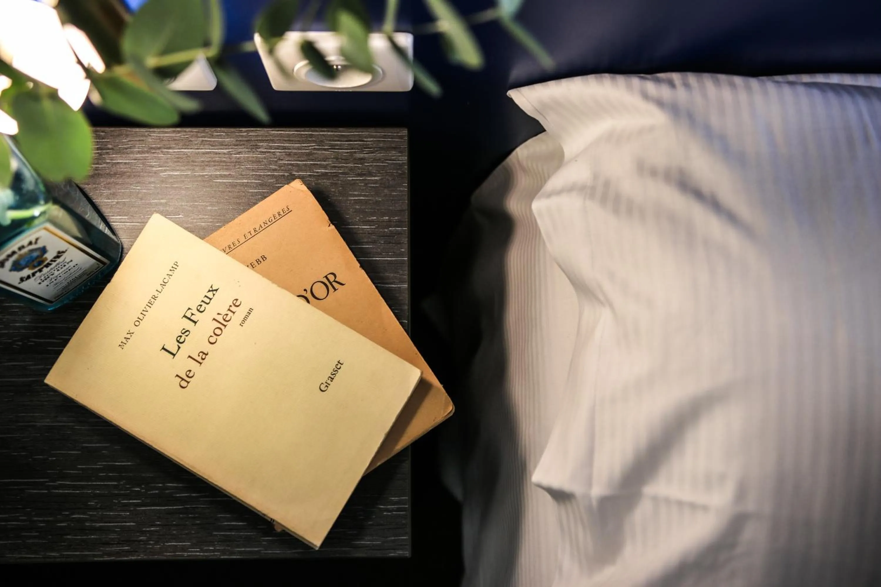 Decorative detail, Bed in Hôtel Le G (ex Le Genève)