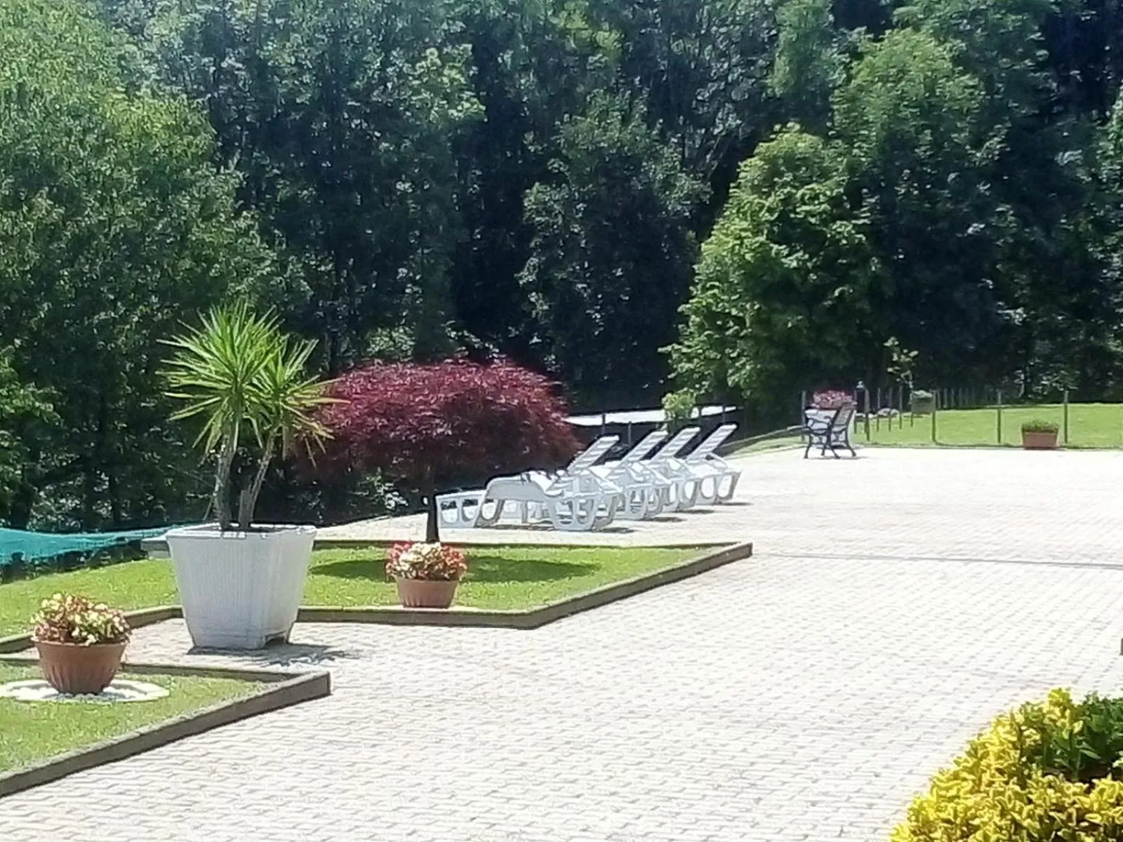 Appartamento La Casa nel Bosco