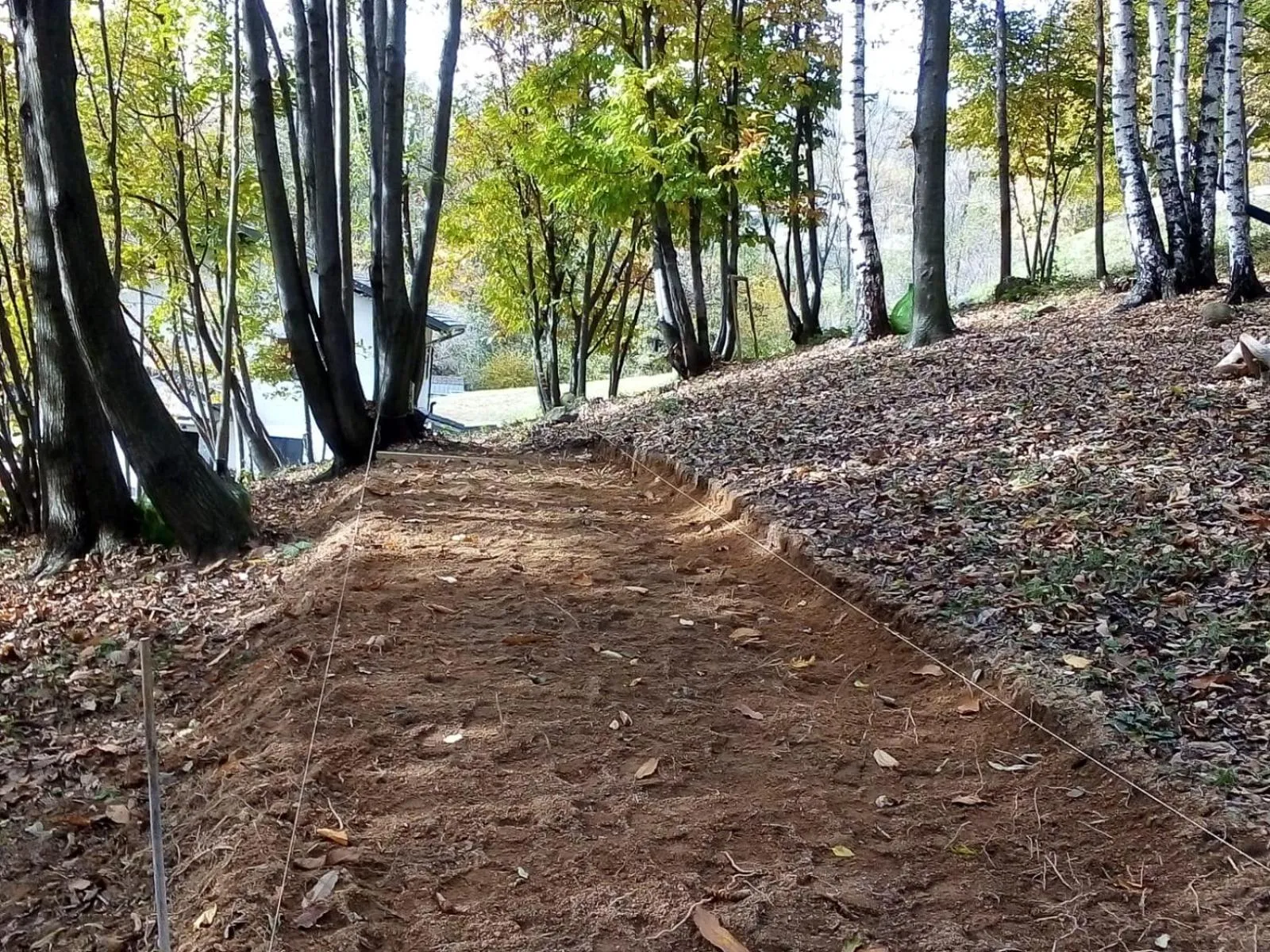 Appartamento La Casa nel Bosco