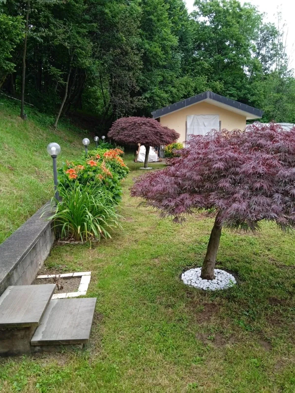 Appartamento La Casa nel Bosco